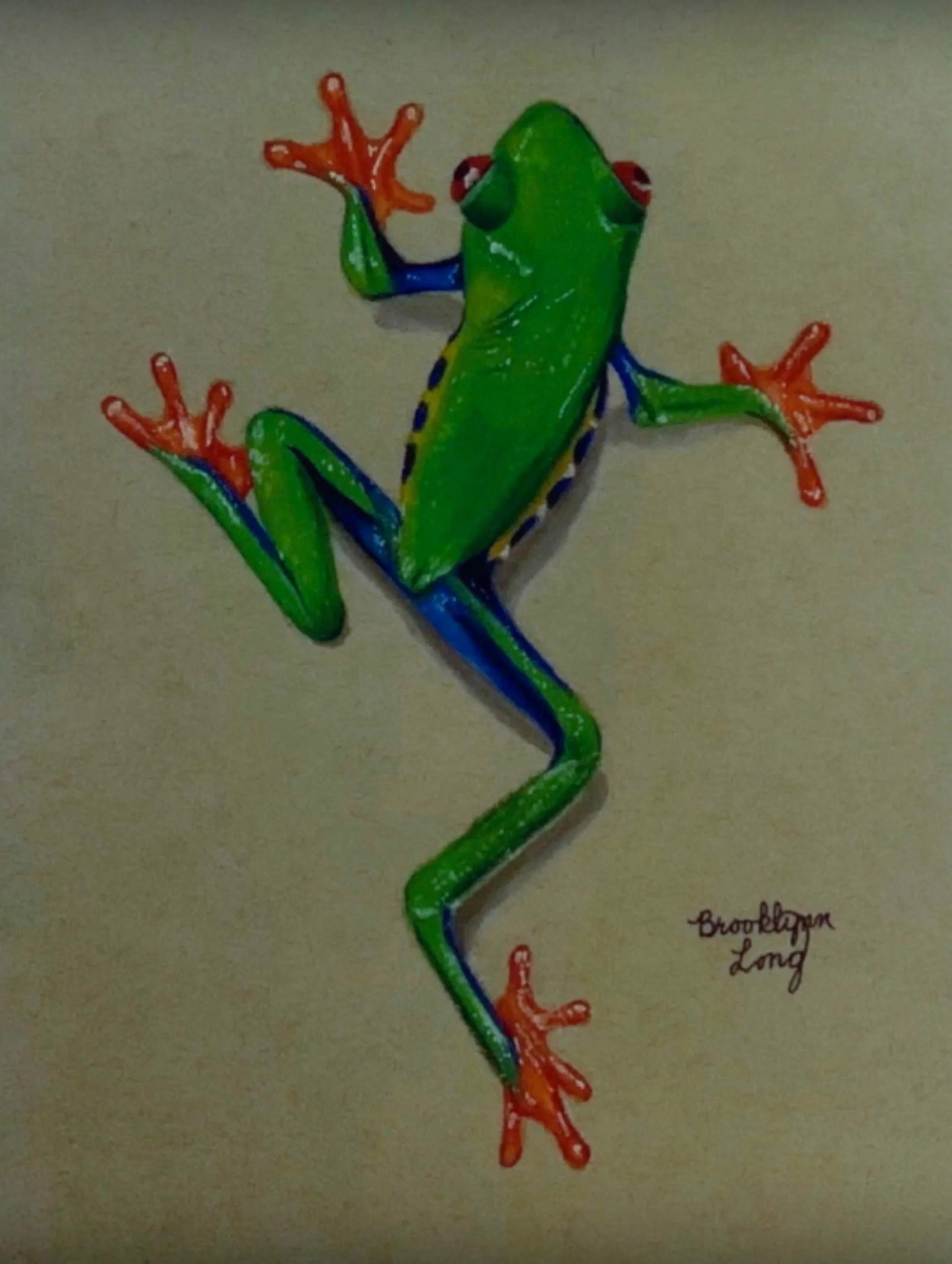 frog (2).jpg