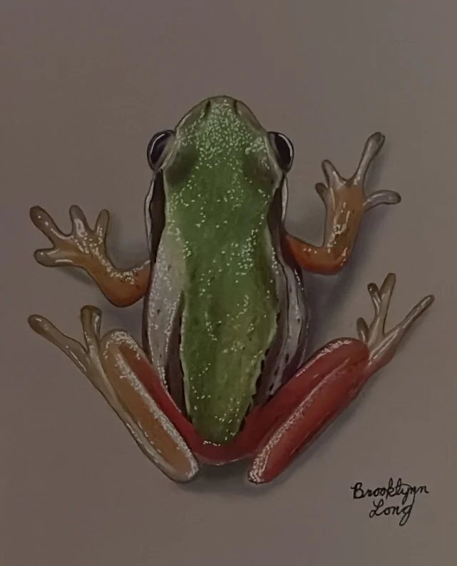 Frog.jpg