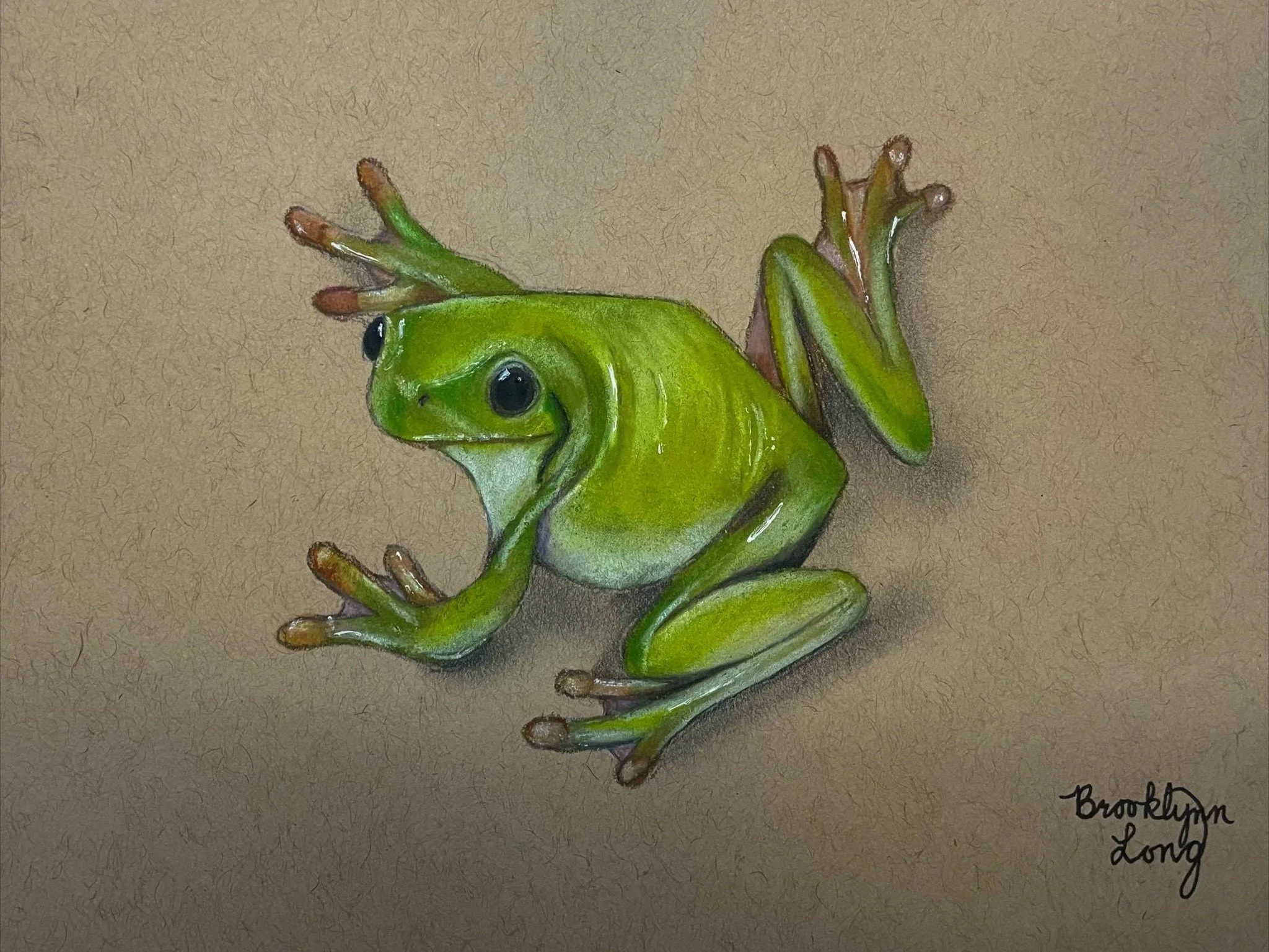 frog.jpg