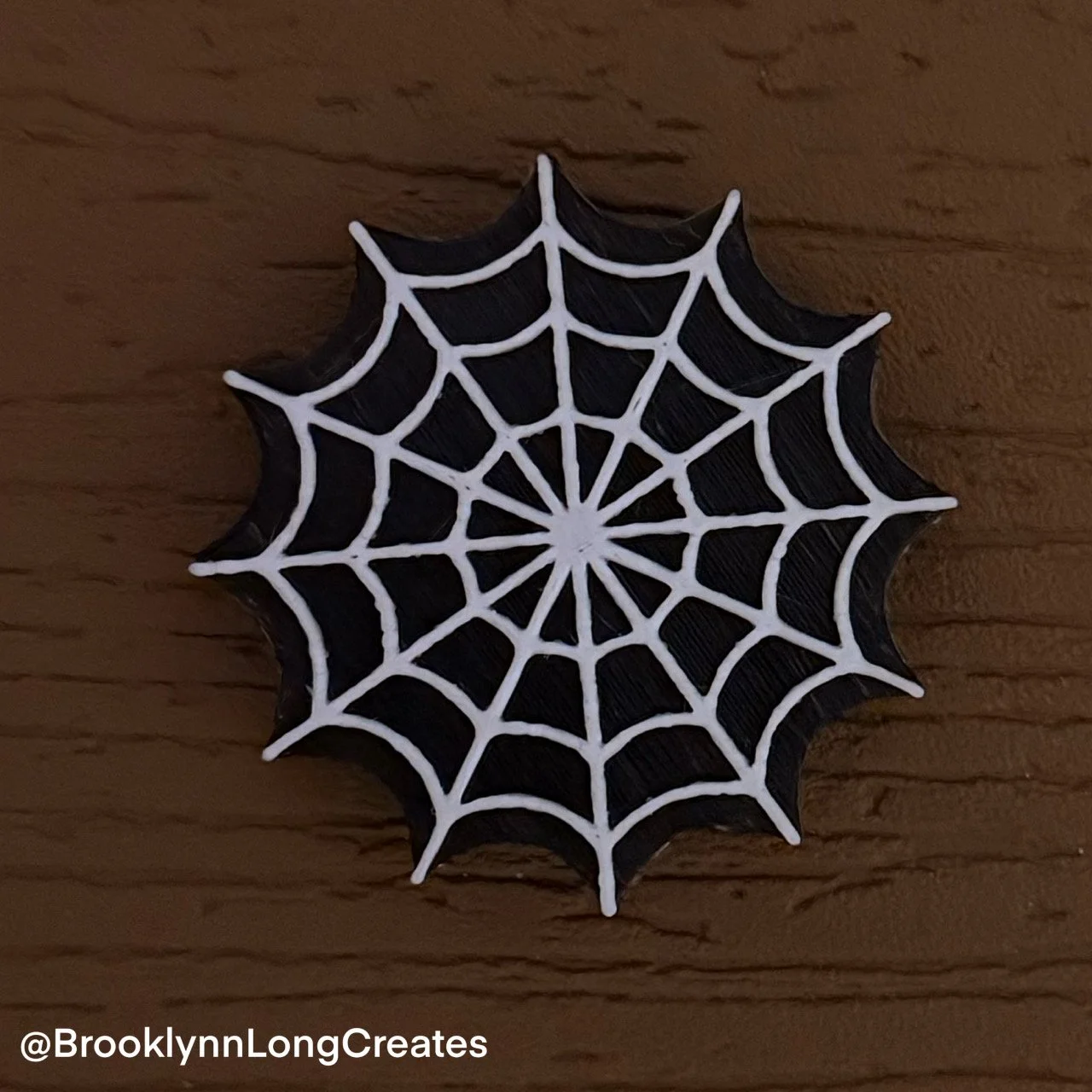 Spider Web Magnet Front.JPG