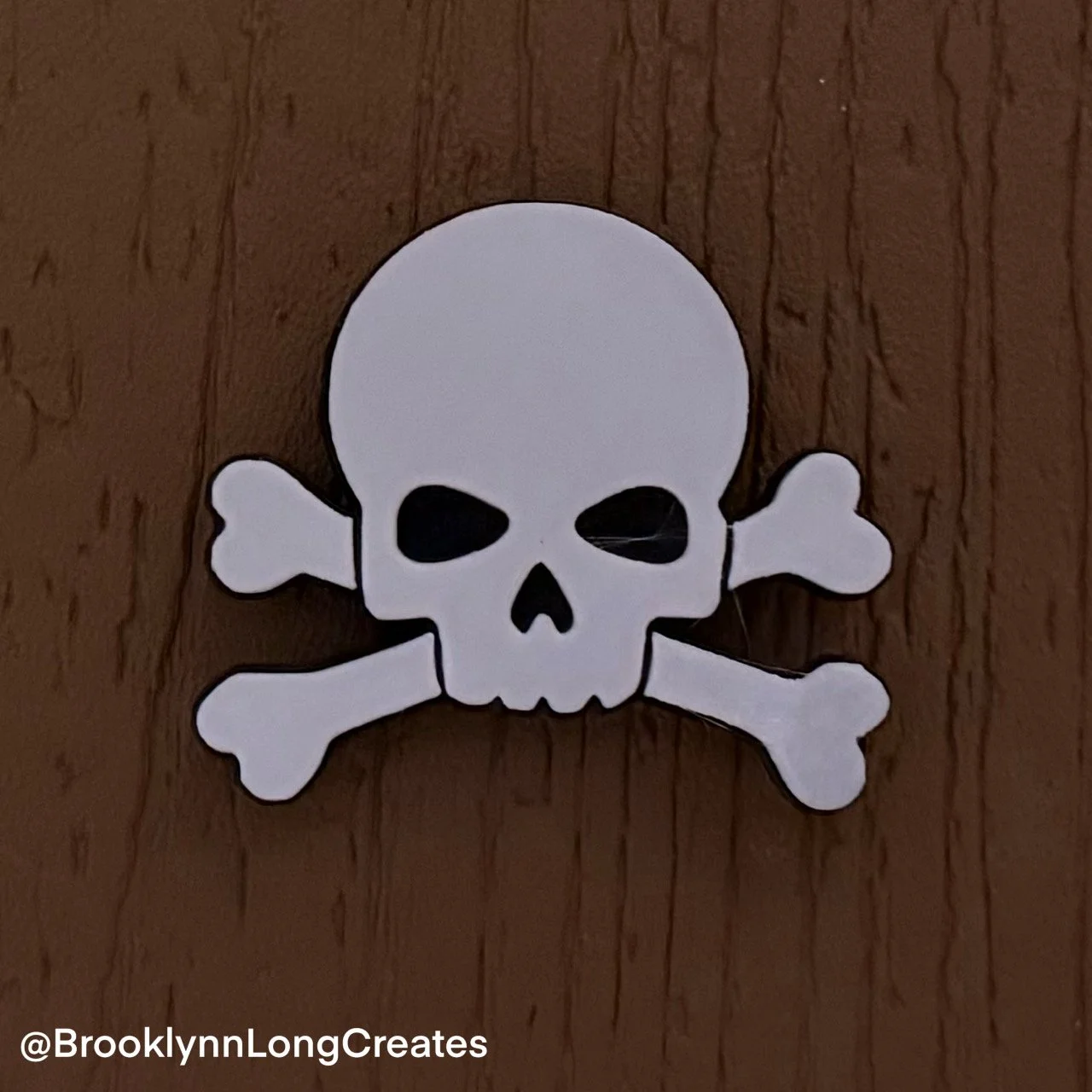 Skull Magnet Front.JPG