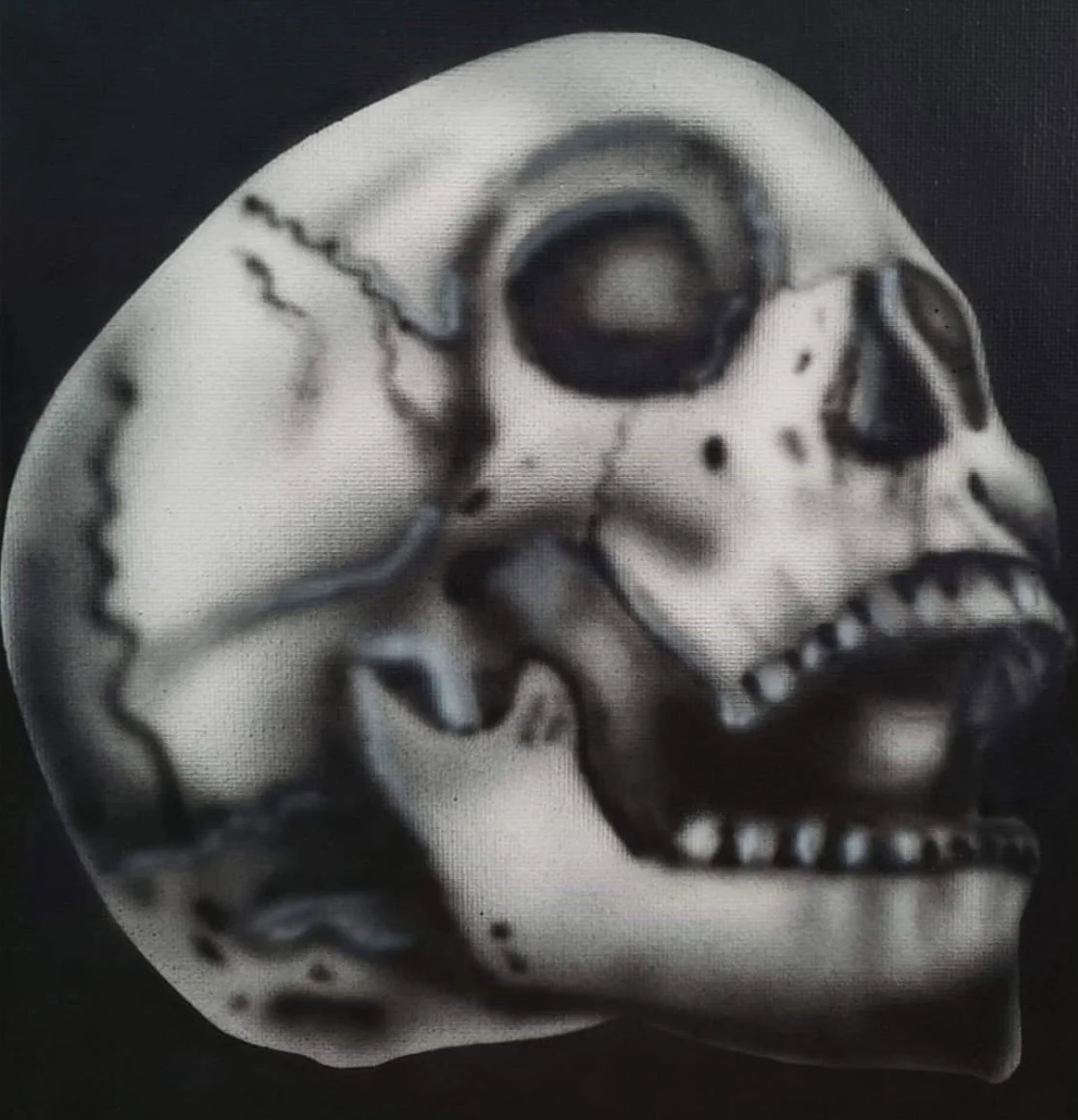 skull (2).PNG