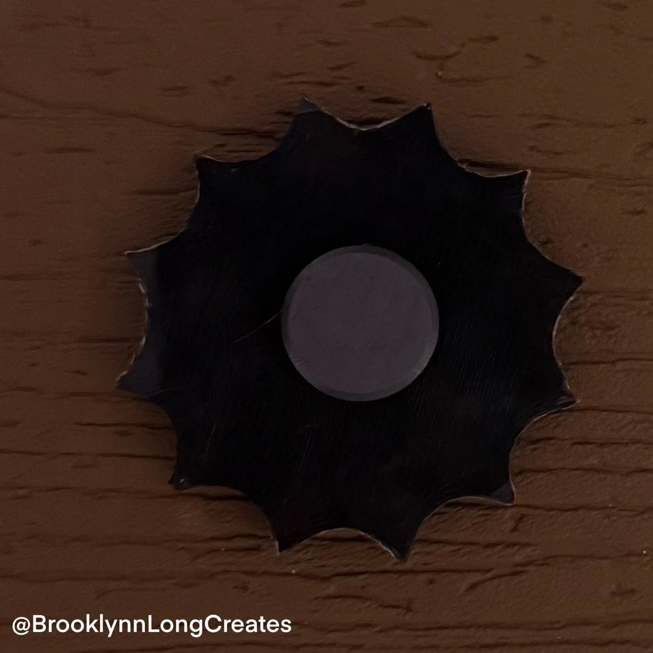 Spider Web Magnet Back.JPG