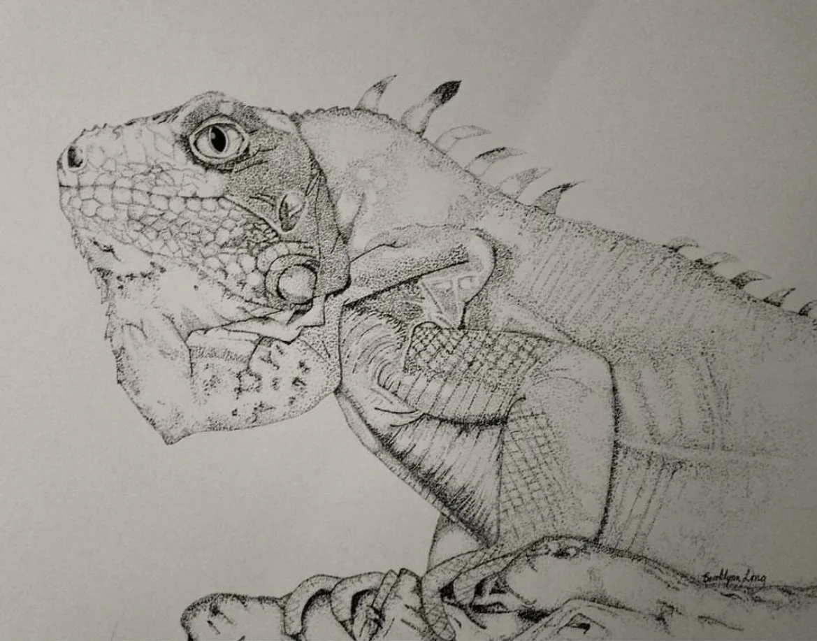iguana.PNG