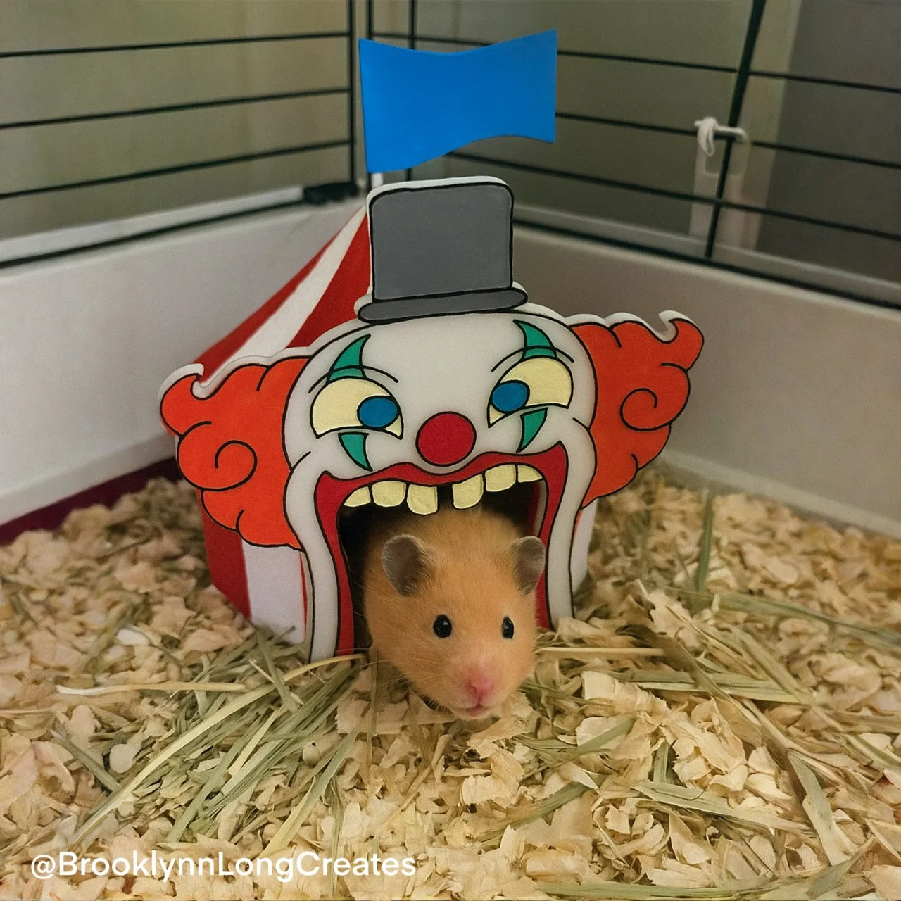 Circus House Hamster.JPG