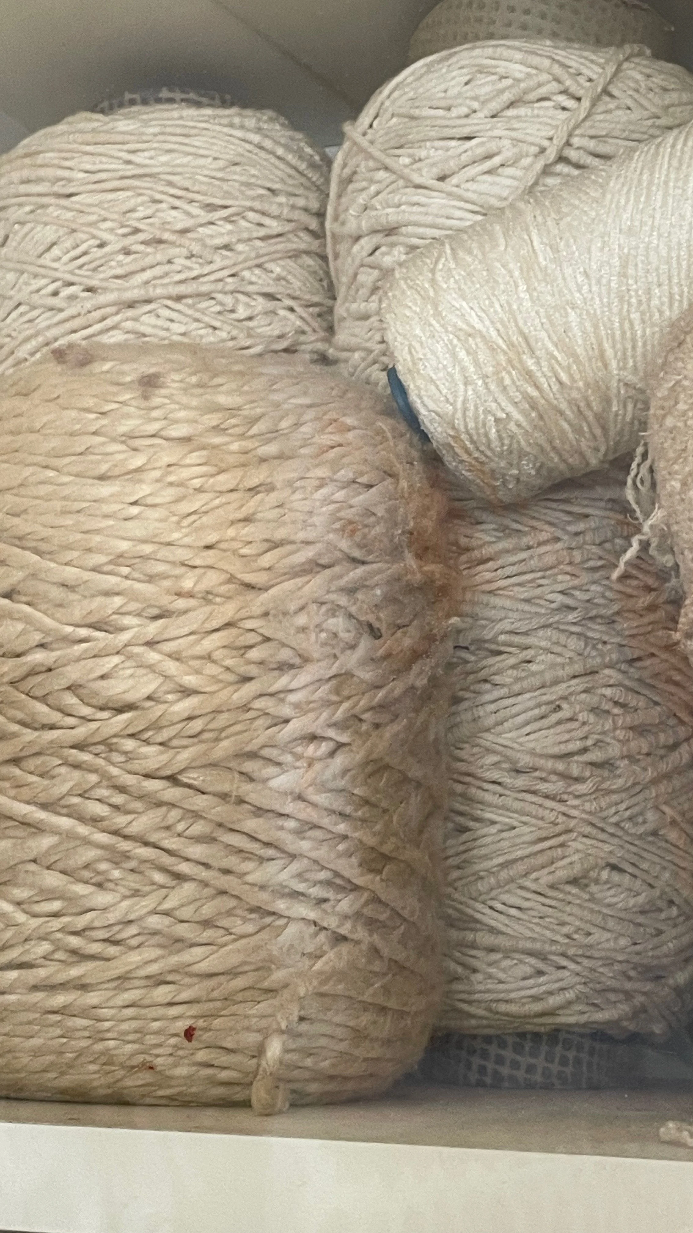 Library - 18 of 23.jpeg