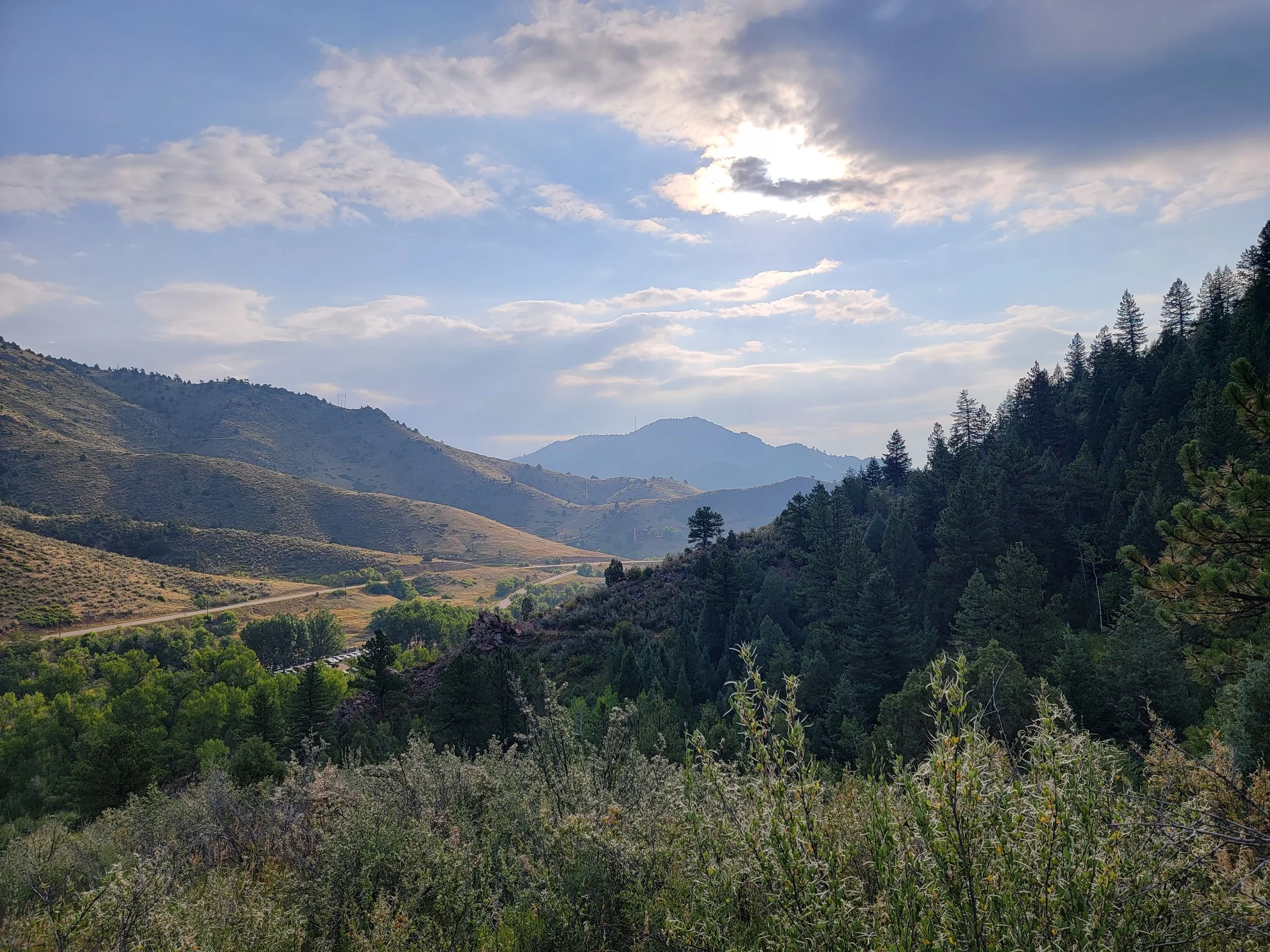 Complimentary Life Coaching Discovery Call – Empower Your Cancer Journey