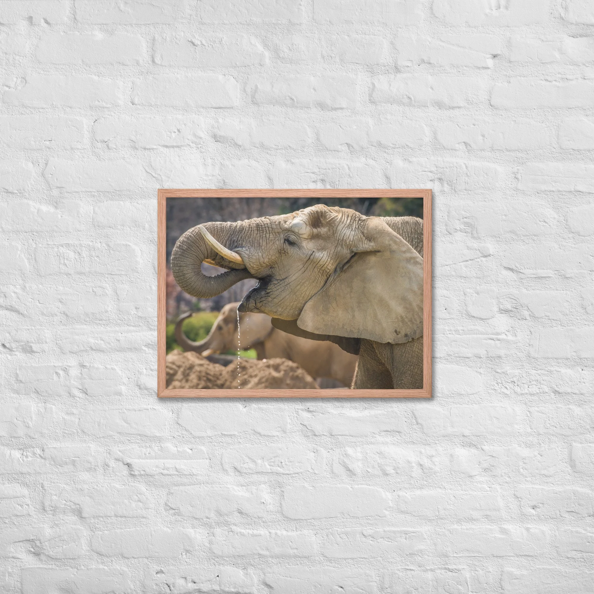 premium-luster-photo-paper-framed-poster-(in)-red-oak-18x24-front-65b685b9aa695.jpg