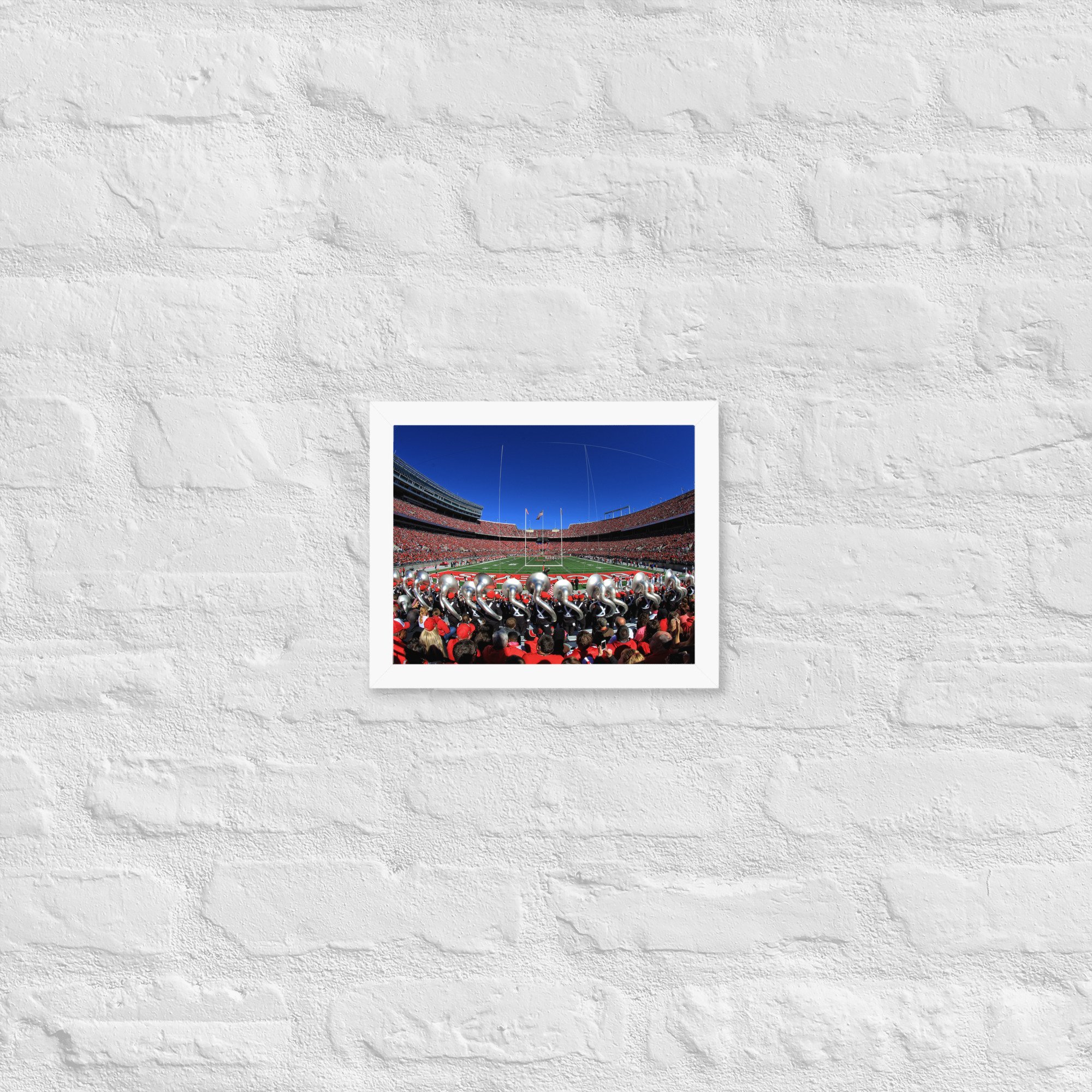 premium-luster-photo-paper-framed-poster-(in)-white-8x10-front-65b7b1c009552.jpg