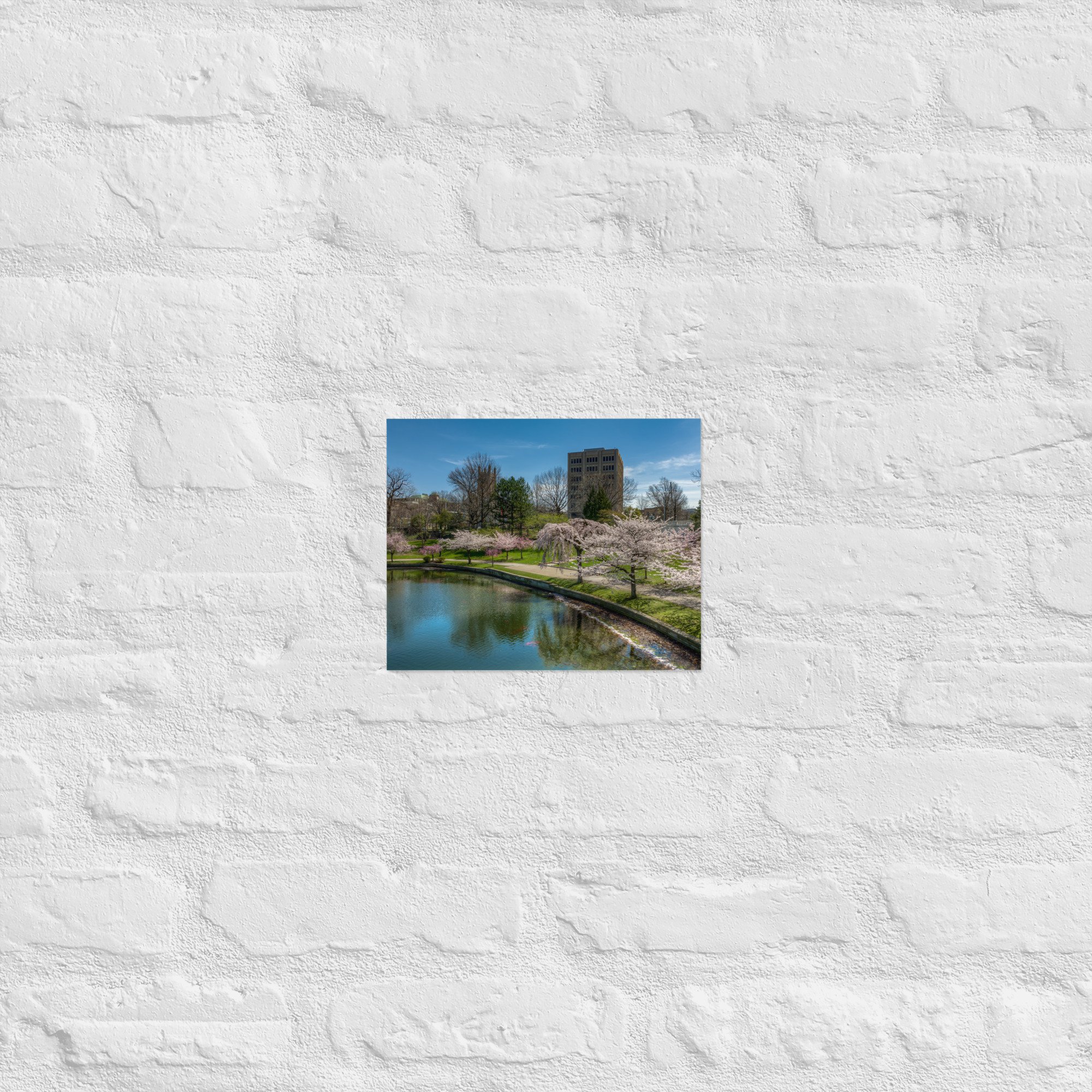 enhanced-matte-paper-poster-(in)-8x10-front-65ba41f276959.jpg