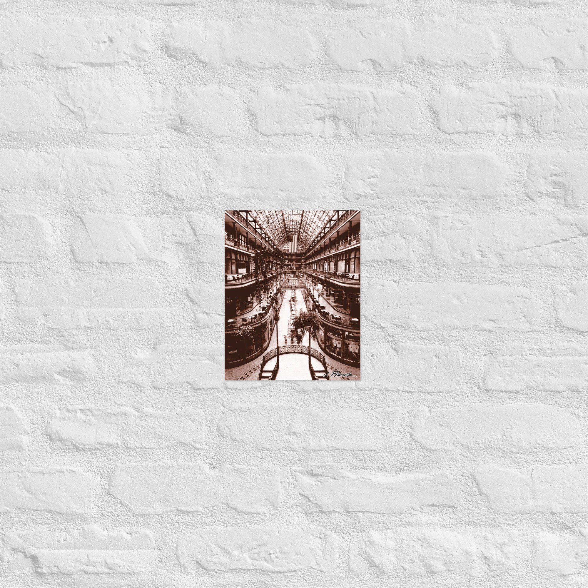 enhanced-matte-paper-poster-(in)-8x10-front-65bb94849f834.jpg