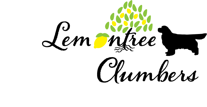 Lemontree Clumbers