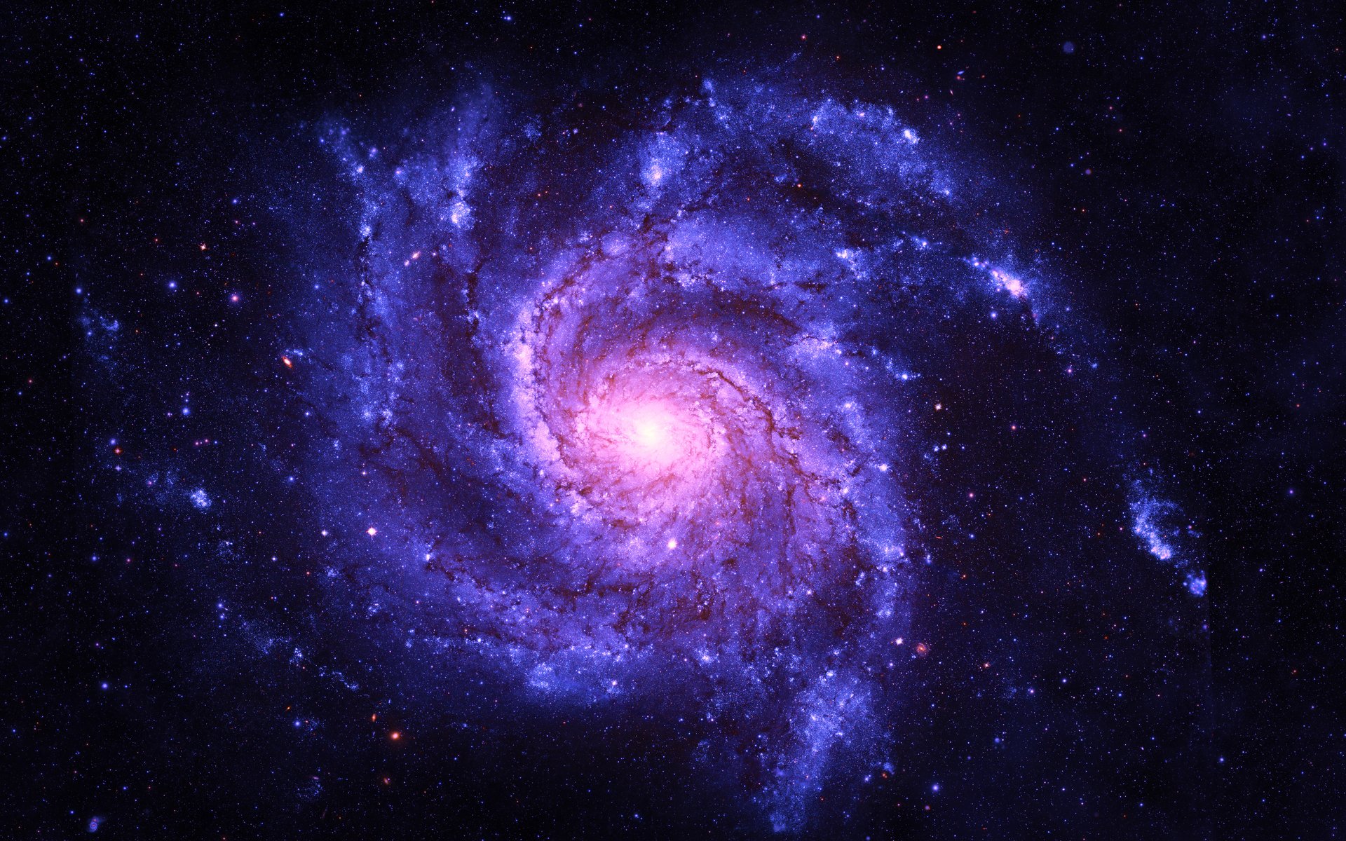 cosmos.jpg