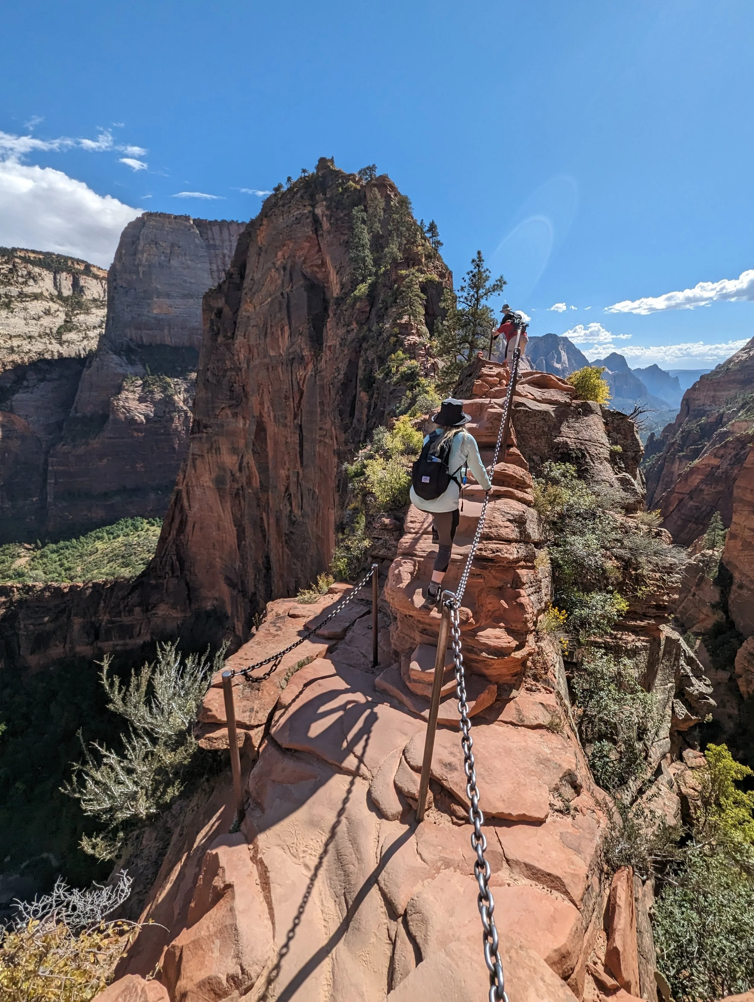 A Nervous System Focused New Year’s Resolution