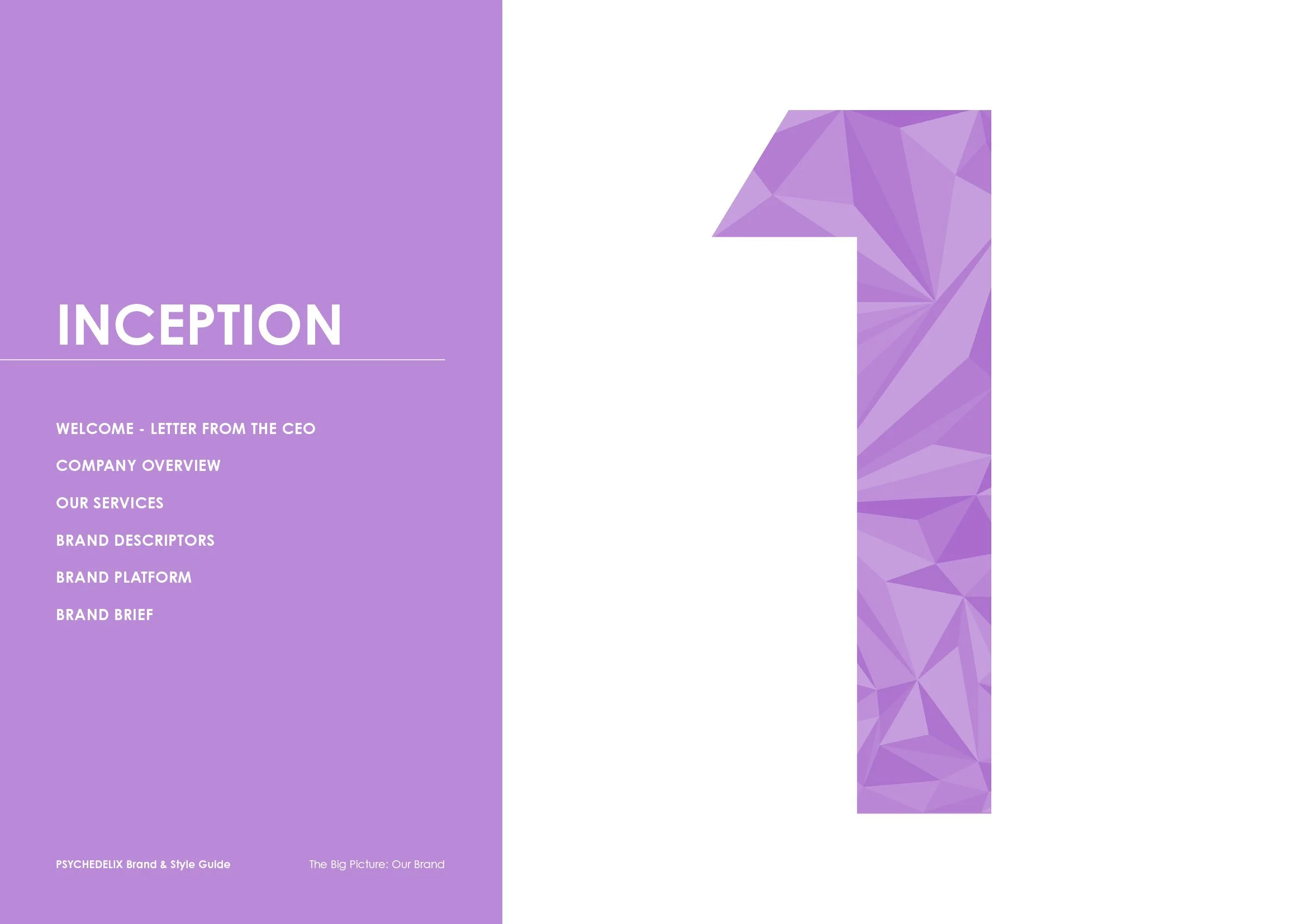 PSYCHEDELIX-Brand-&-Style-Guide-03.jpg