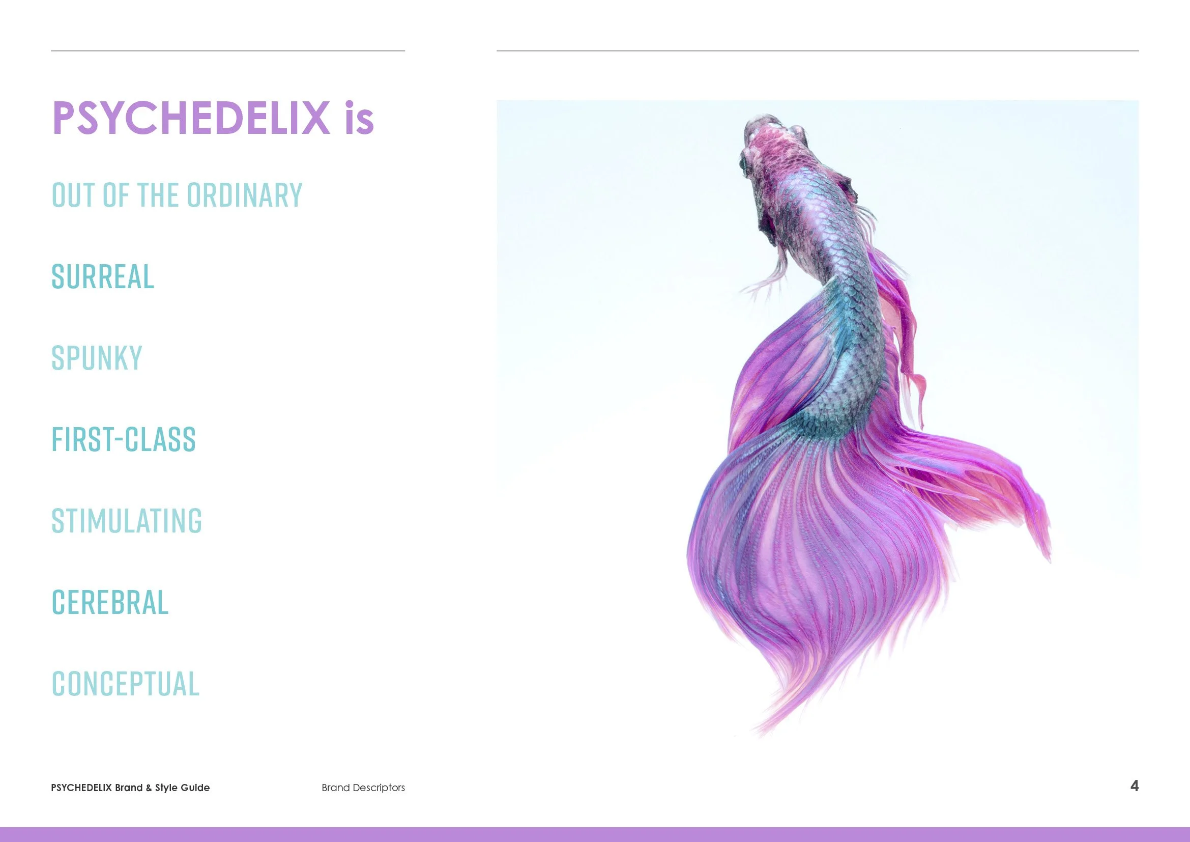 PSYCHEDELIX-Brand-&-Style-Guide-07.jpg