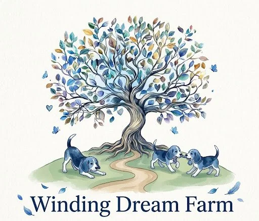 Winding Dream Farm