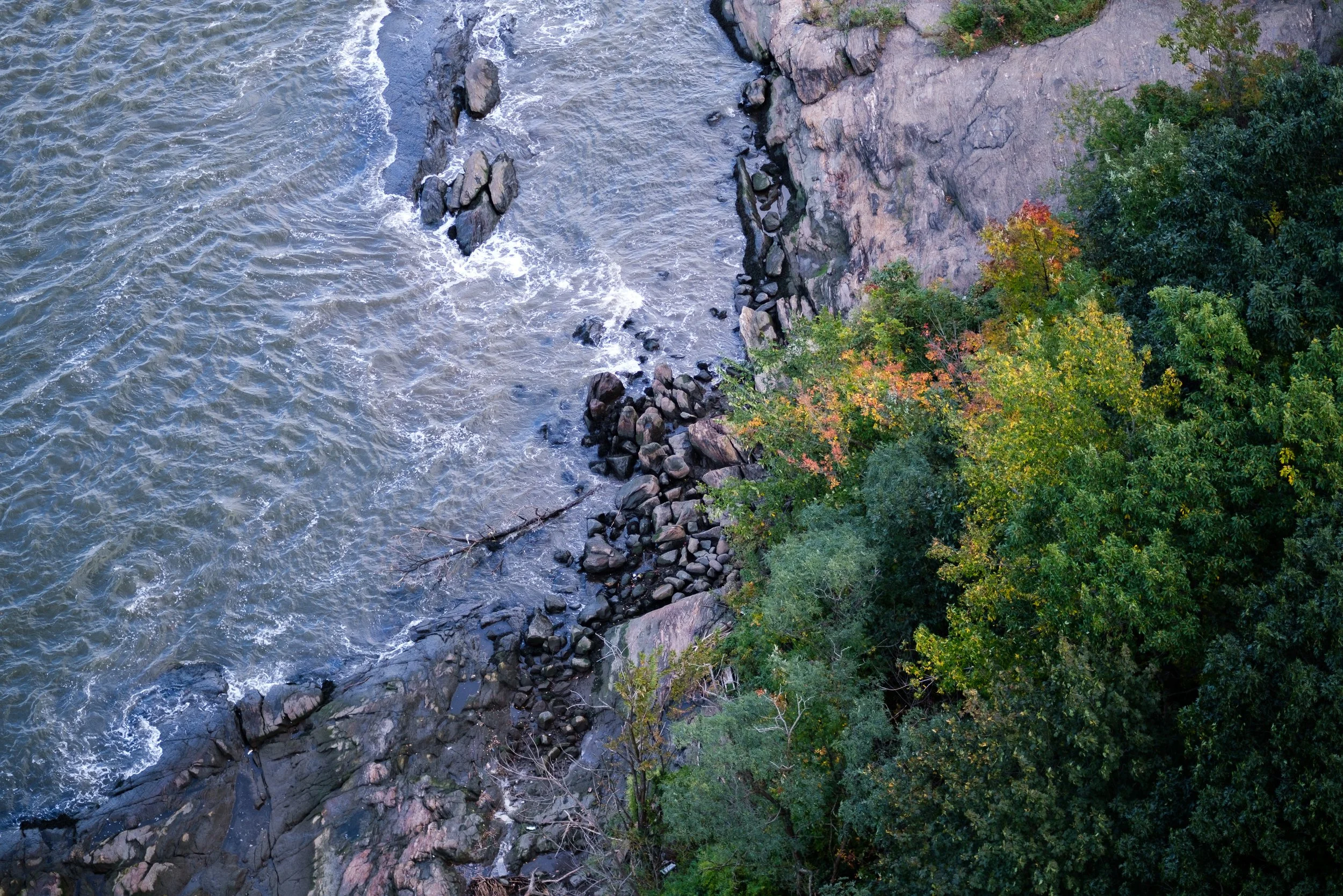 An aerial view of a rocky shoreline with water on one side and a forested area with green and some autumn-colored trees on the other.