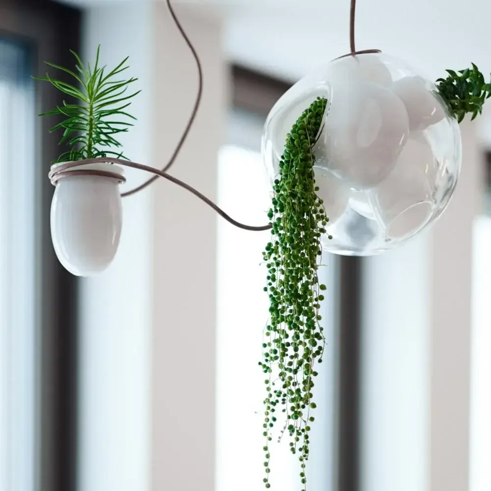 Bocci Series 38 Pendant Light (11-28 pieces) with glass spheres and interior cavities for plants, supplied by Abitalia South Coast in Dorset, Hampshire, and Surrey.