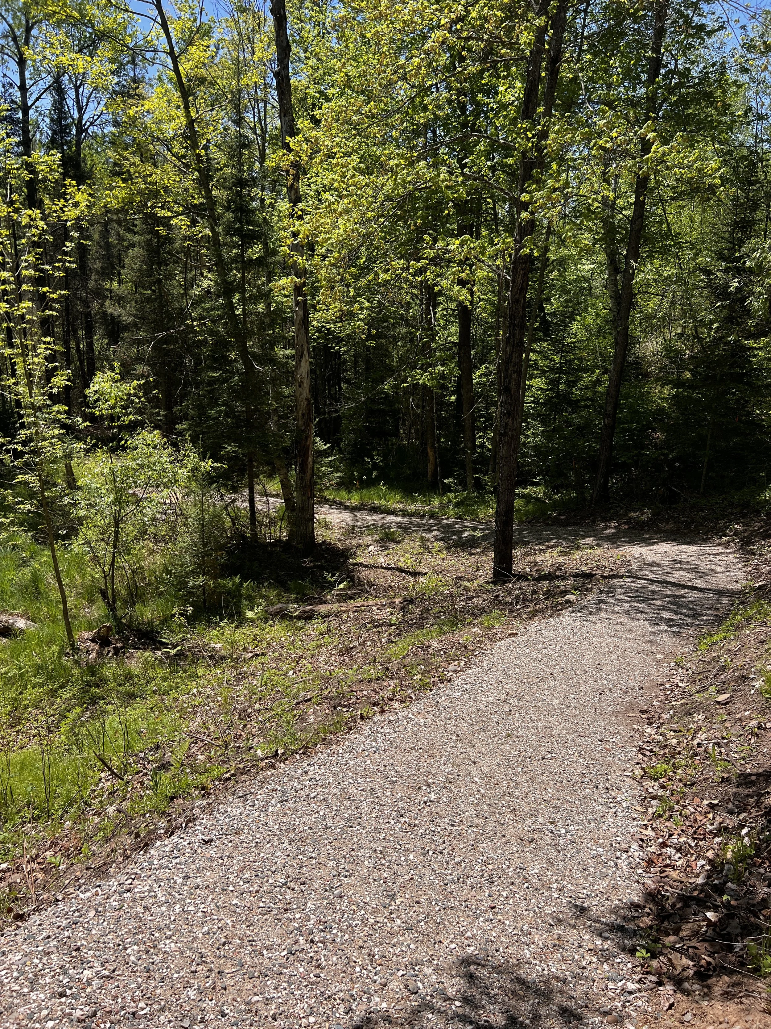 Path that leads to lake access