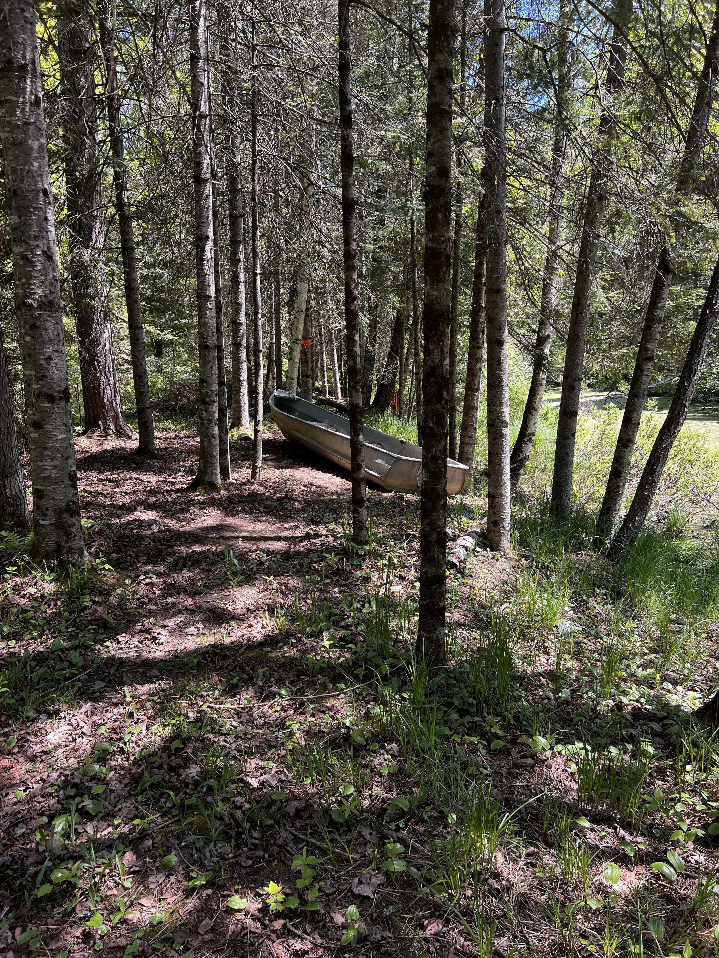 Lake access