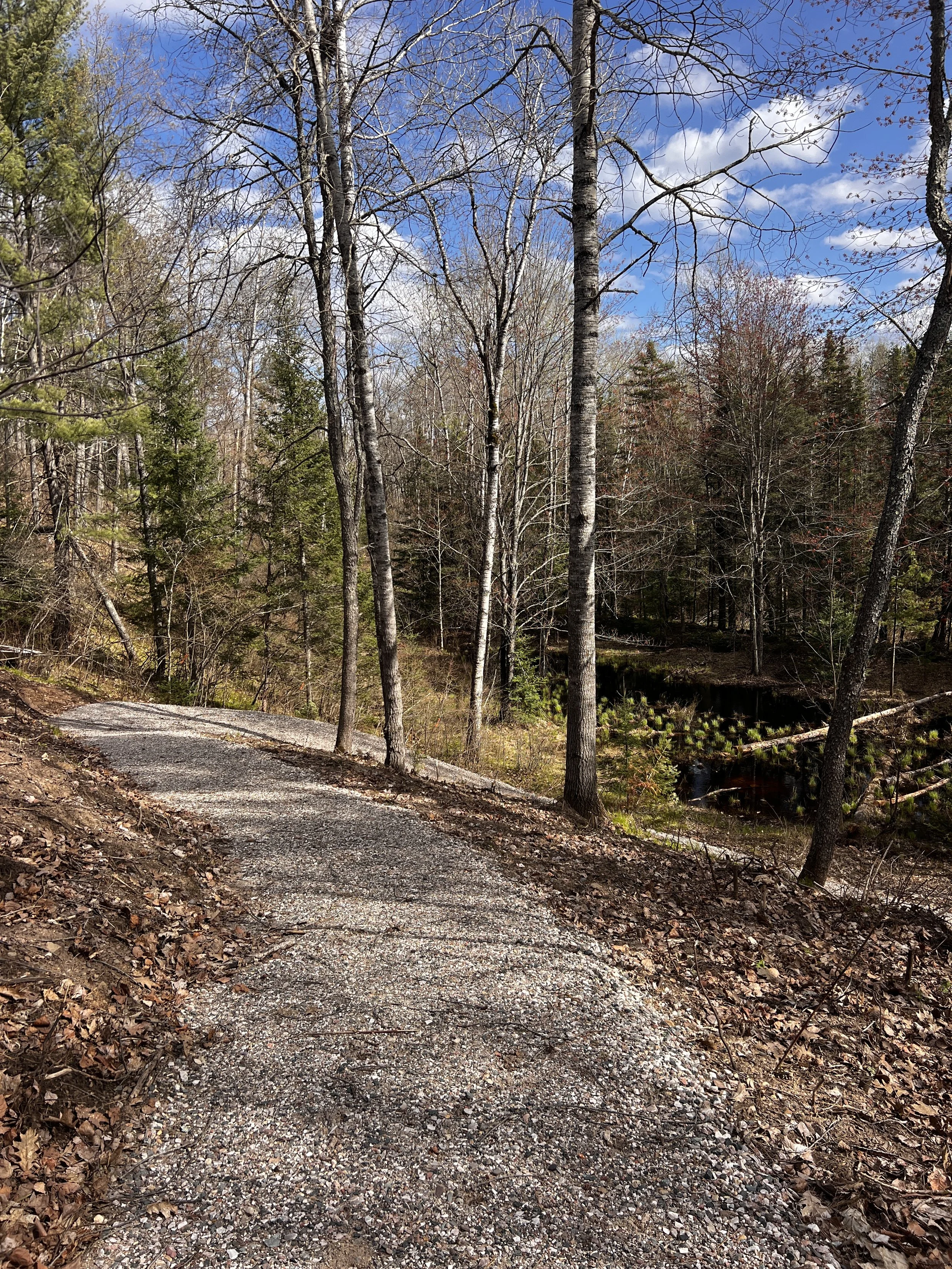 Path that leads to lake access