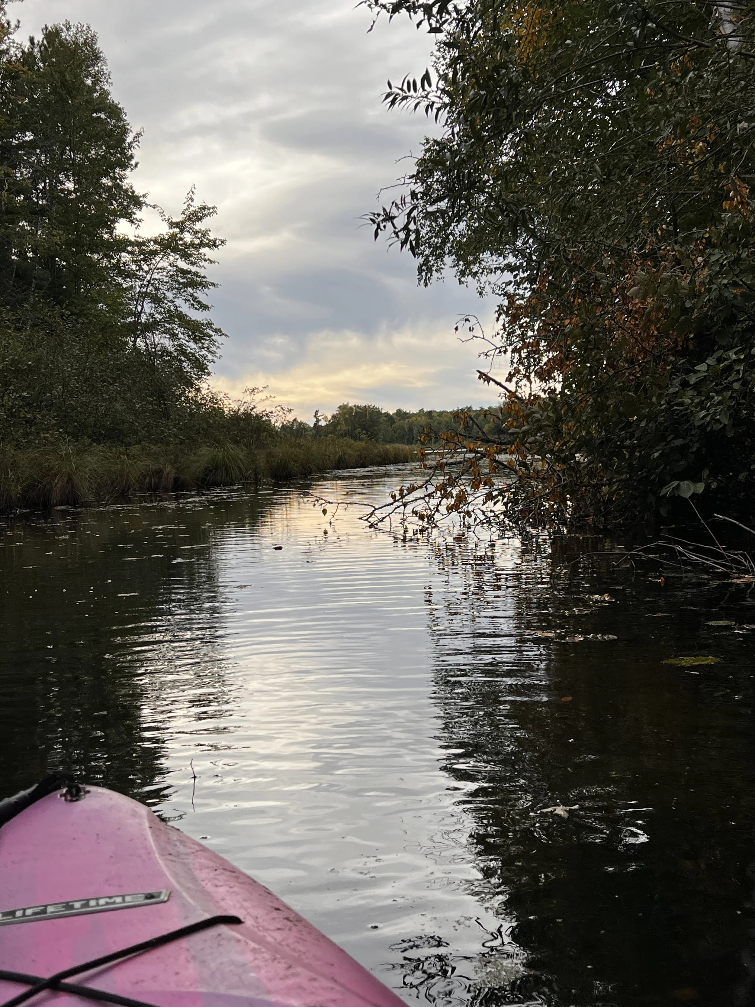 Kayaking the channel to Loon Lake