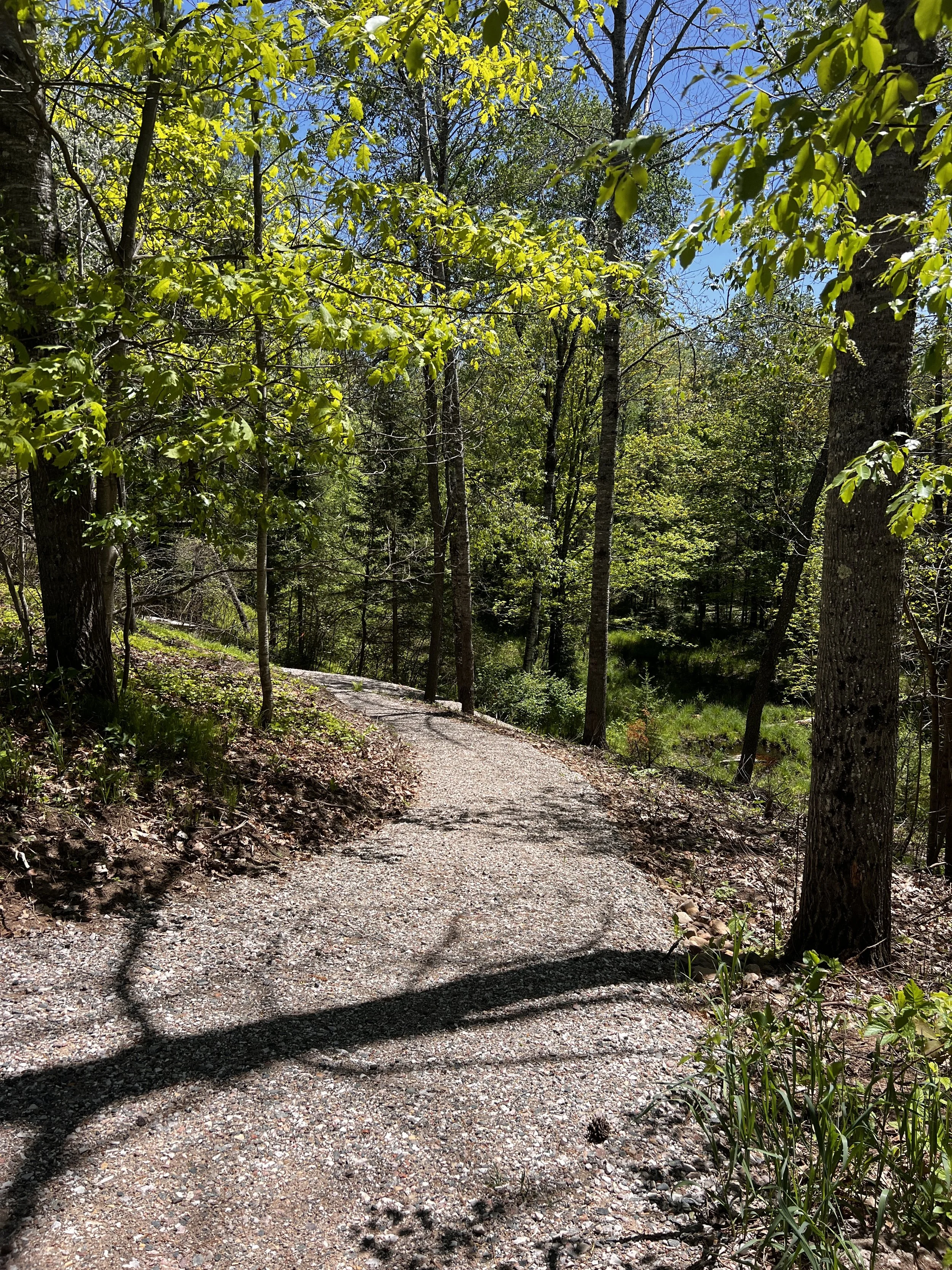Path that leads to lake access