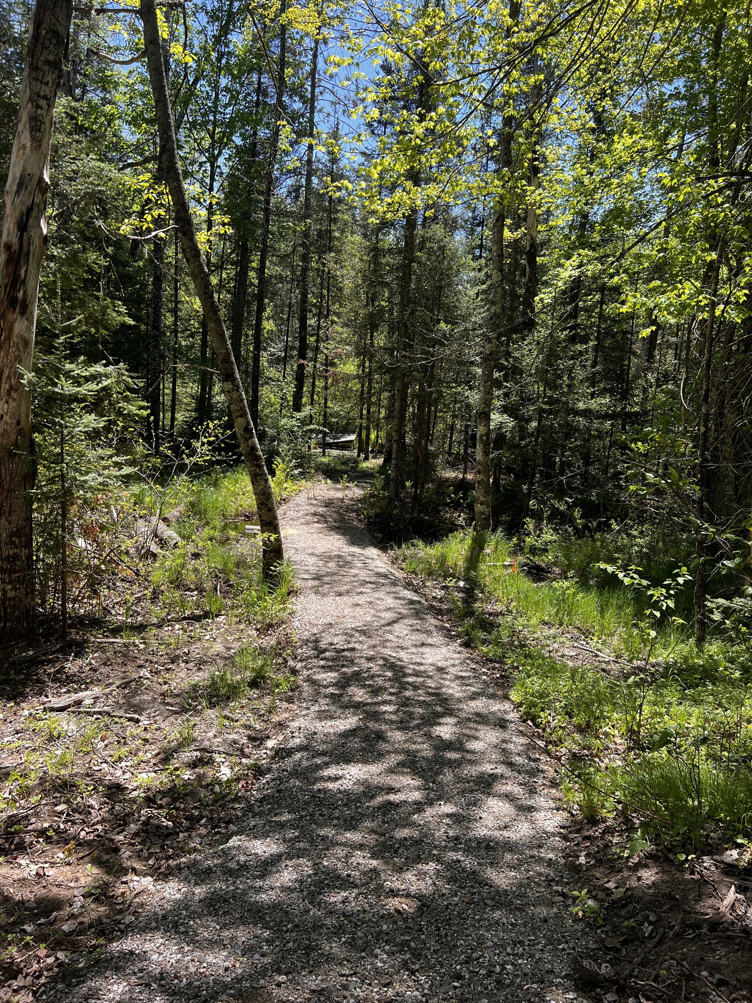 Path that leads to lake access