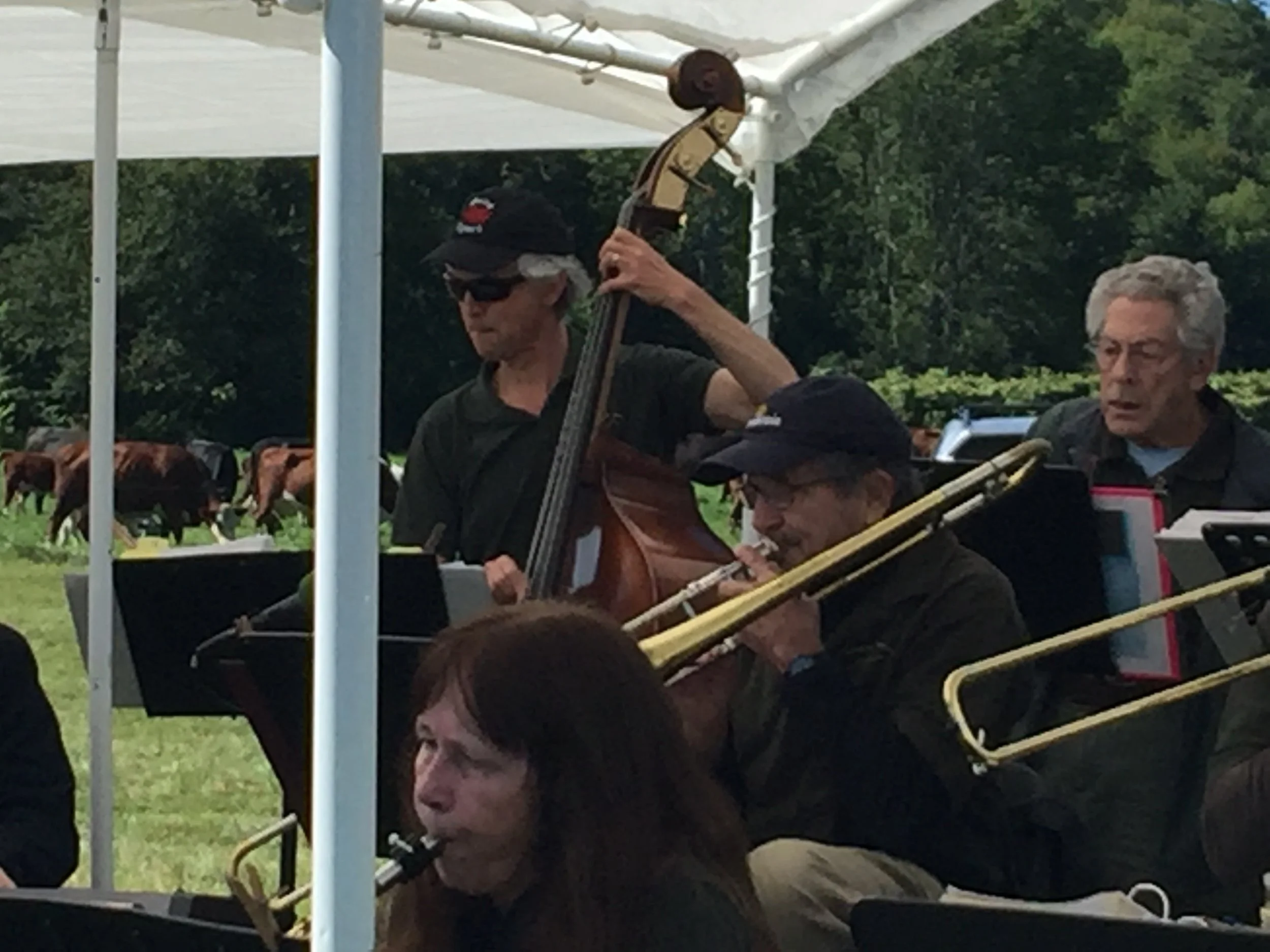 Green Mountain Swing Band