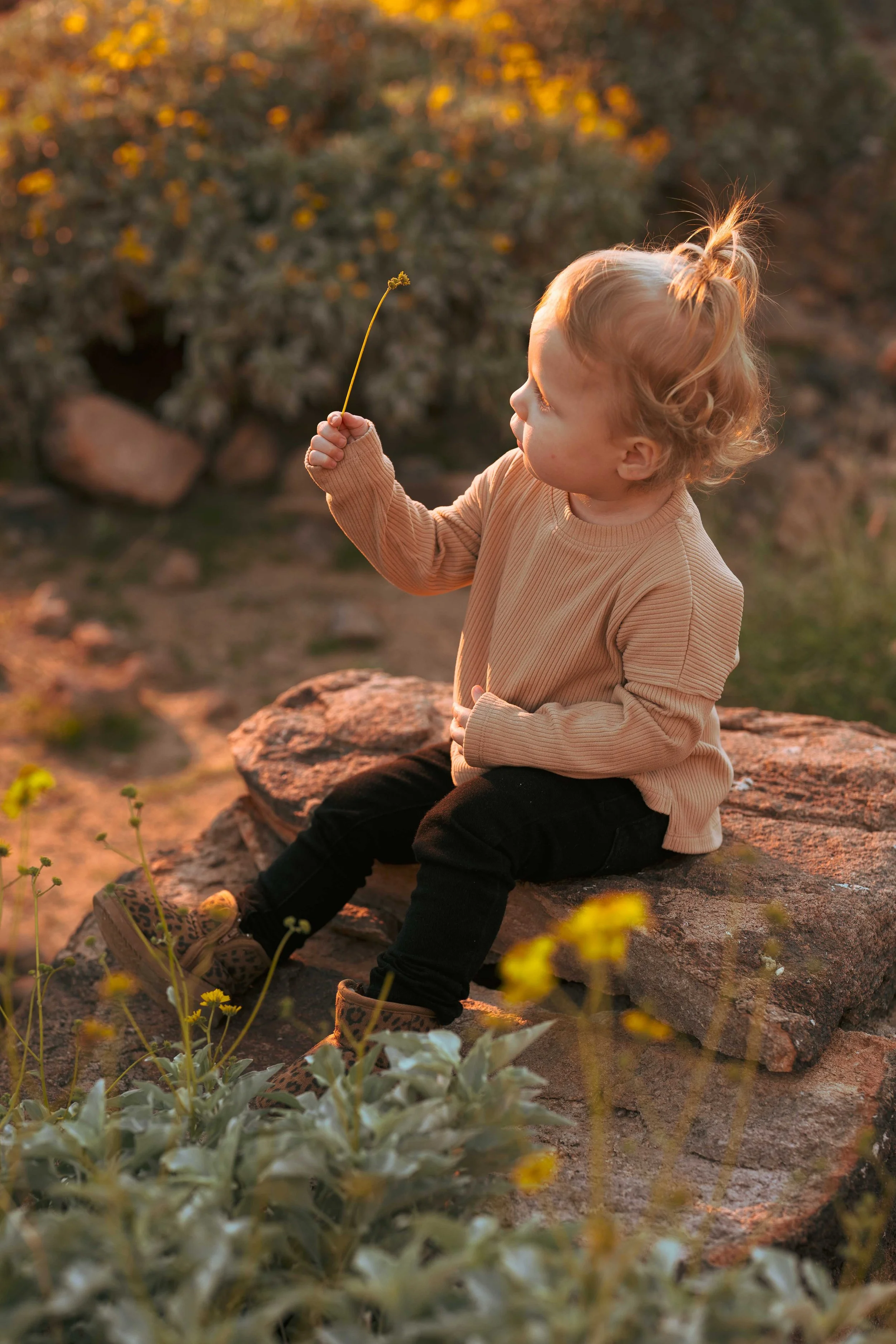 FAMILY PHOTOS-27.jpg