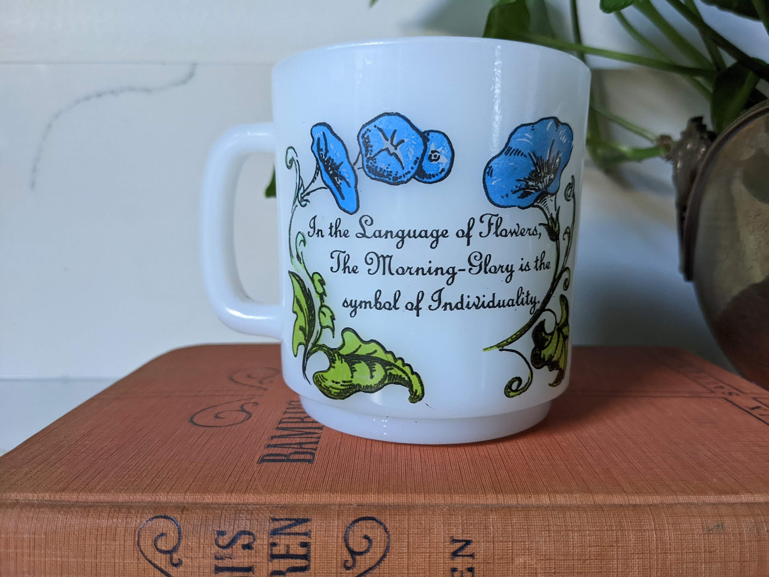 https://i.etsystatic.com/8494428/r/il/11668f/4103557430/il_fullxfull.4103557430_jfm3.jpg