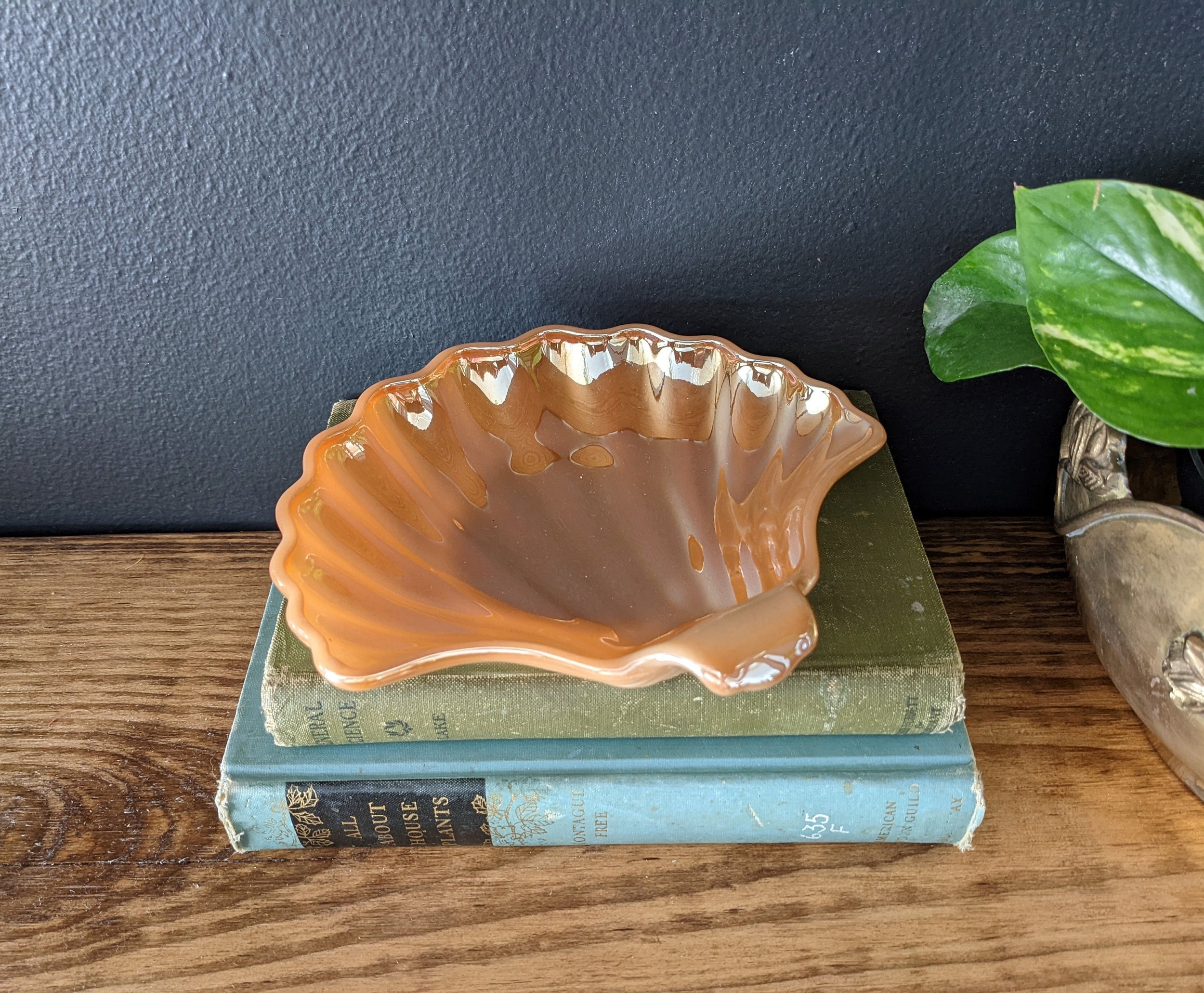 https://i.etsystatic.com/8494428/r/il/9fda0b/3755211130/il_fullxfull.3755211130_g3ri.jpg