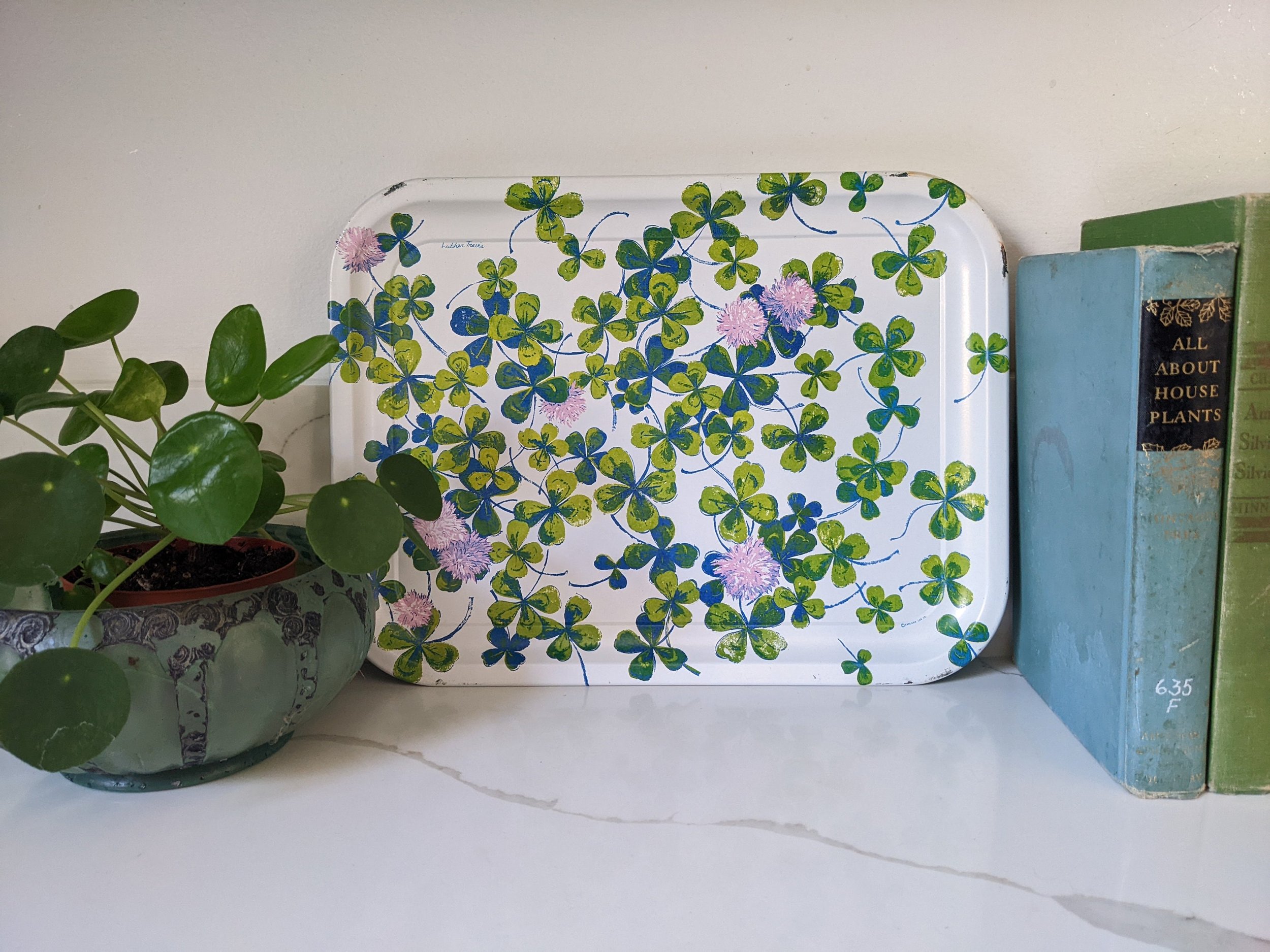 https://i.etsystatic.com/8494428/r/il/dfcba7/3956740418/il_fullxfull.3956740418_lcwe.jpg