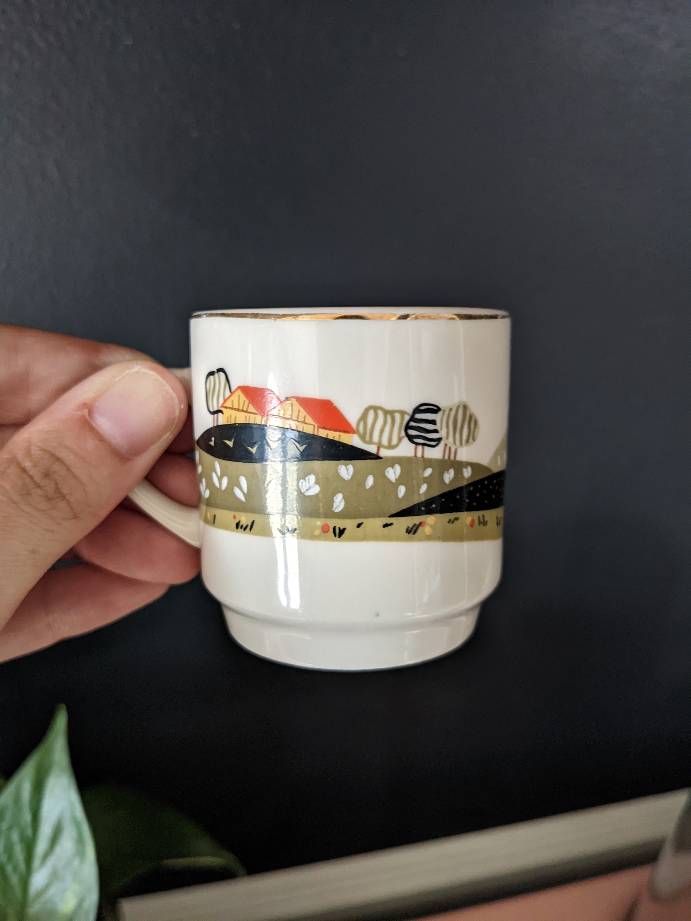 https://i.etsystatic.com/8494428/r/il/1649ab/4081104348/il_fullxfull.4081104348_j6ga.jpg