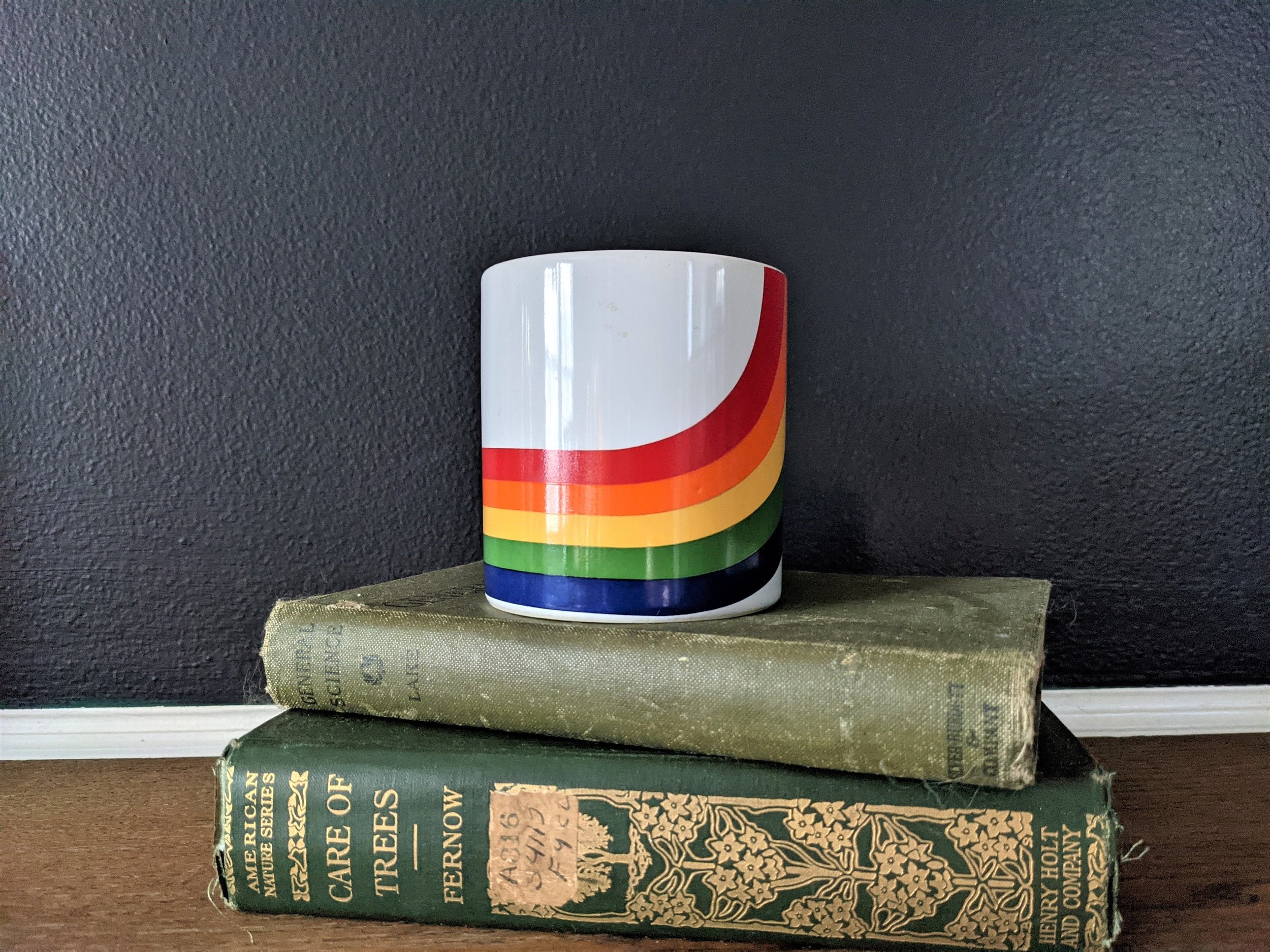 https://i.etsystatic.com/8494428/r/il/6b039e/3320726718/il_fullxfull.3320726718_j219.jpg