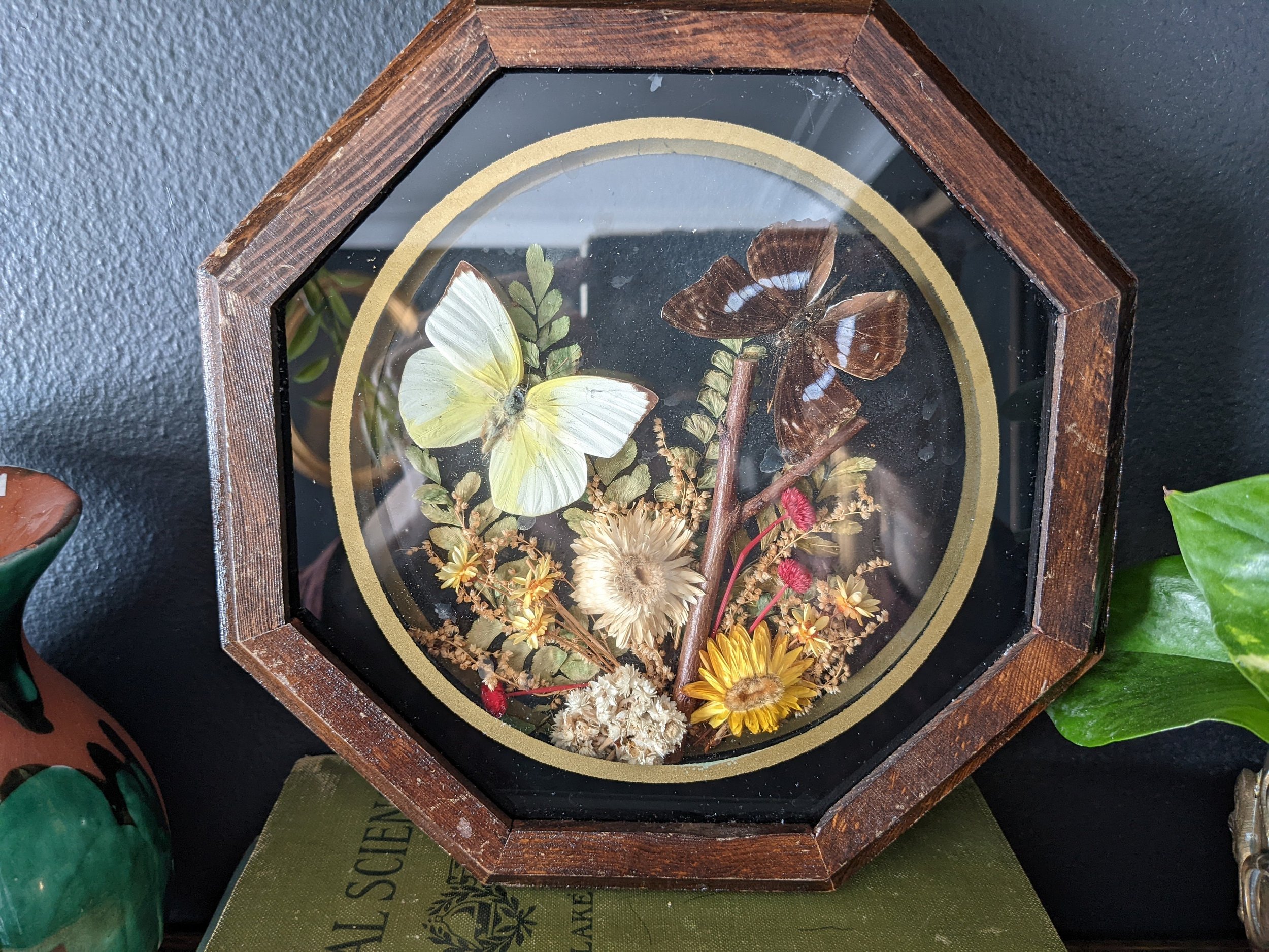 https://i.etsystatic.com/8494428/r/il/909e39/3802785255/il_fullxfull.3802785255_gaw5.jpg