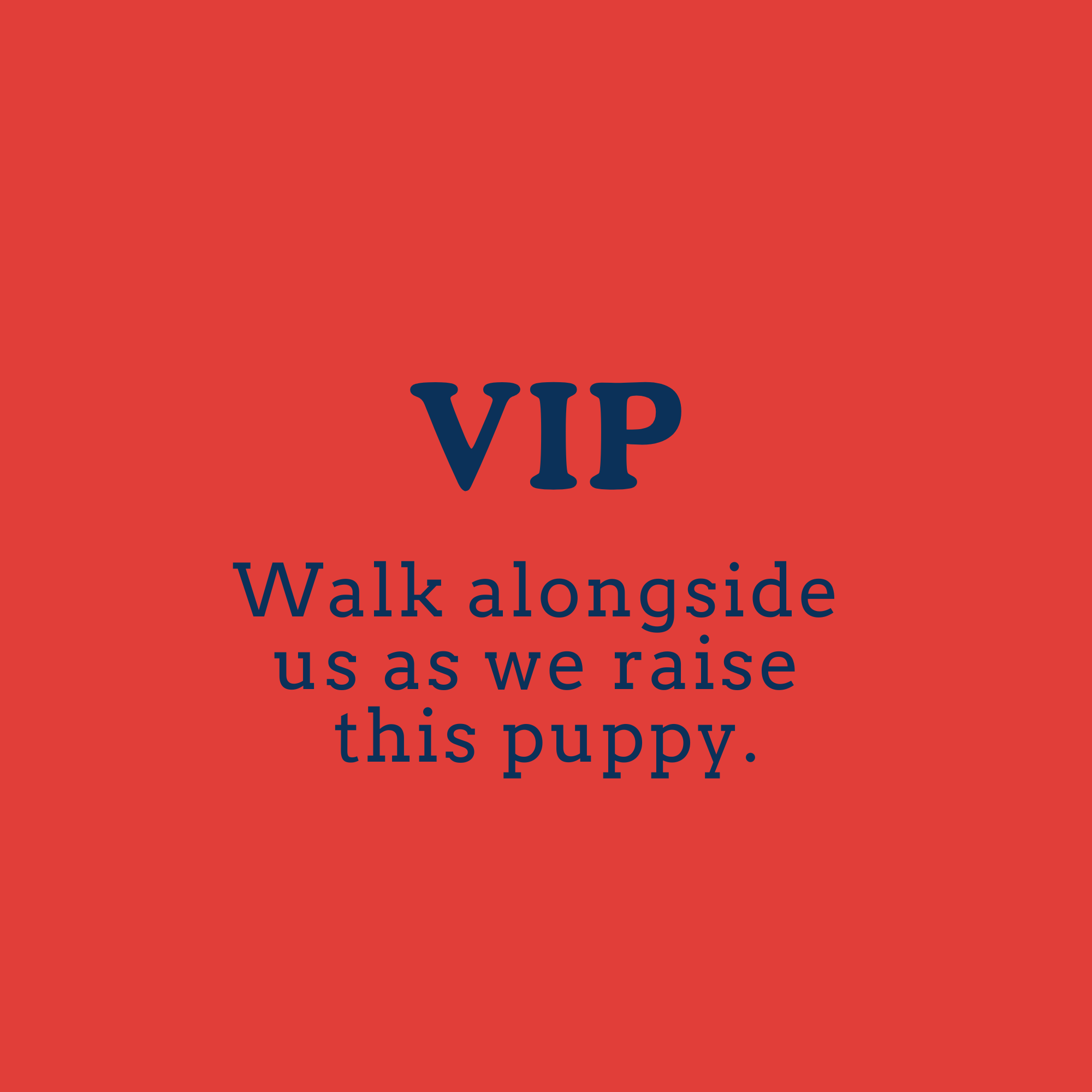 VIP Package (1).png