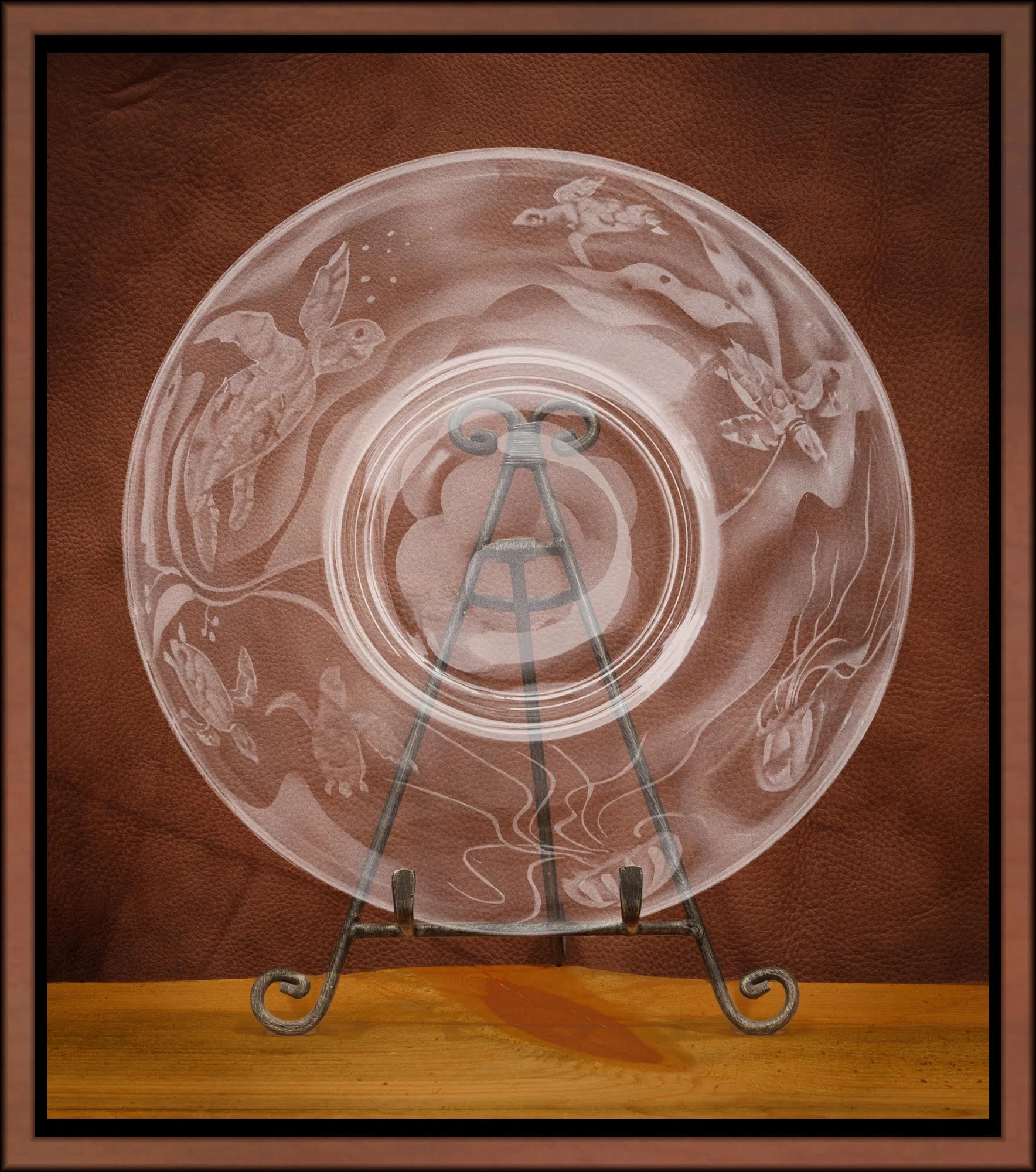 Teri Zimmerman: A Sea Turtle's Journey