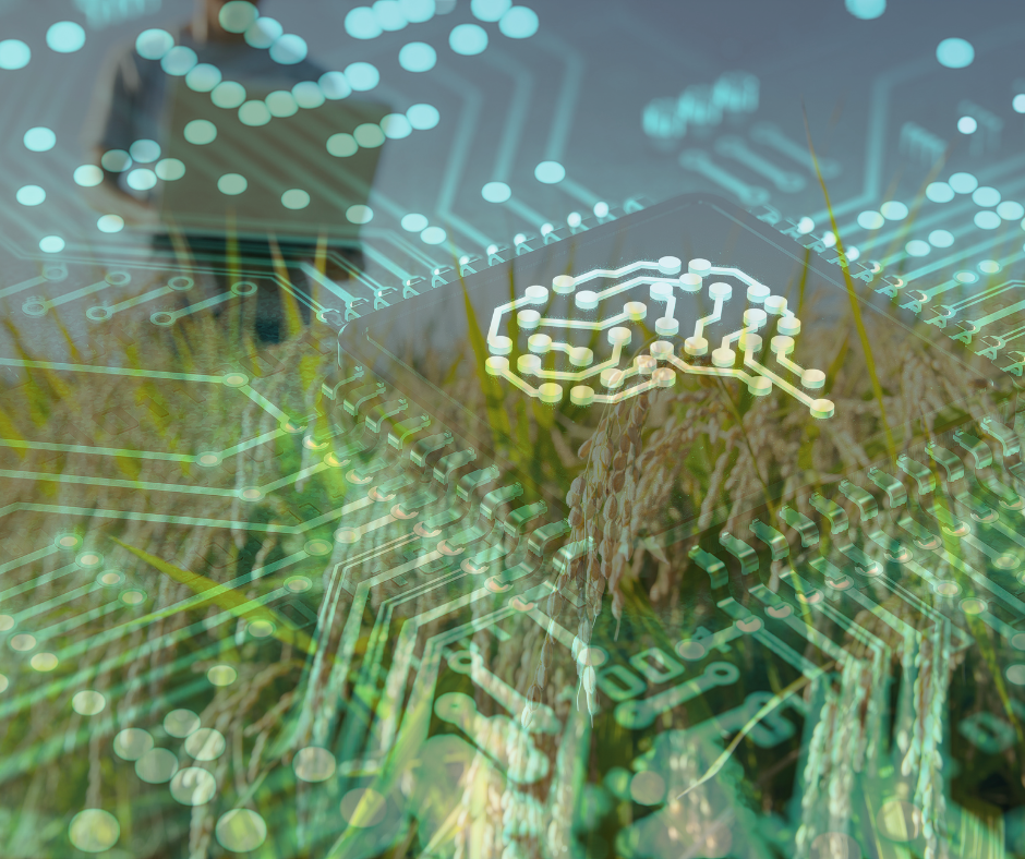 Datos Inteligentes para el Agro: Cómo Blooms Impulsa tu Agronegocio Global