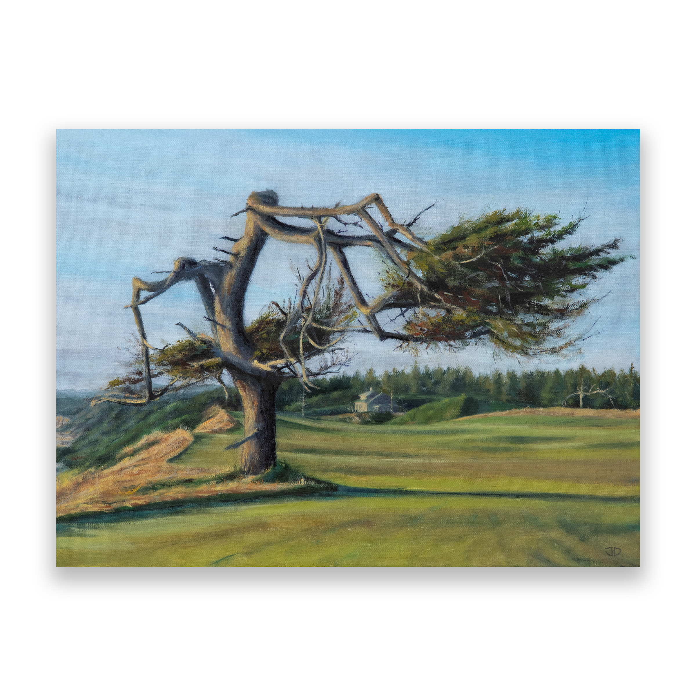 JD-Paintings-_0001_Sheep-Ranch-Tree-Sketch-Print-File-2.png