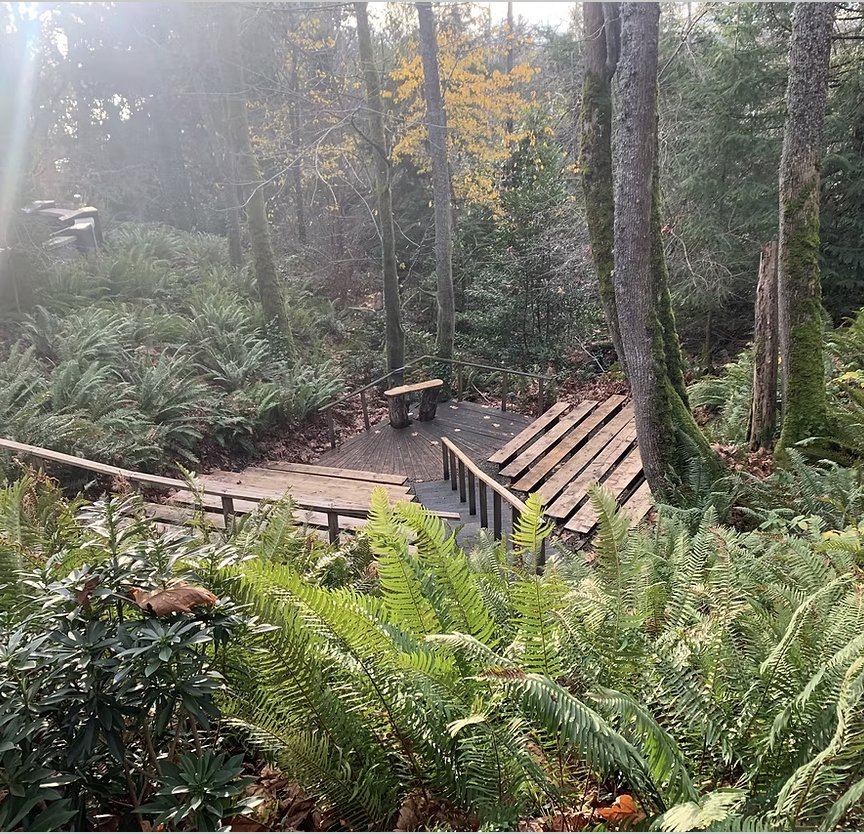 Outdoor amphitheater for nature lessons and story time.