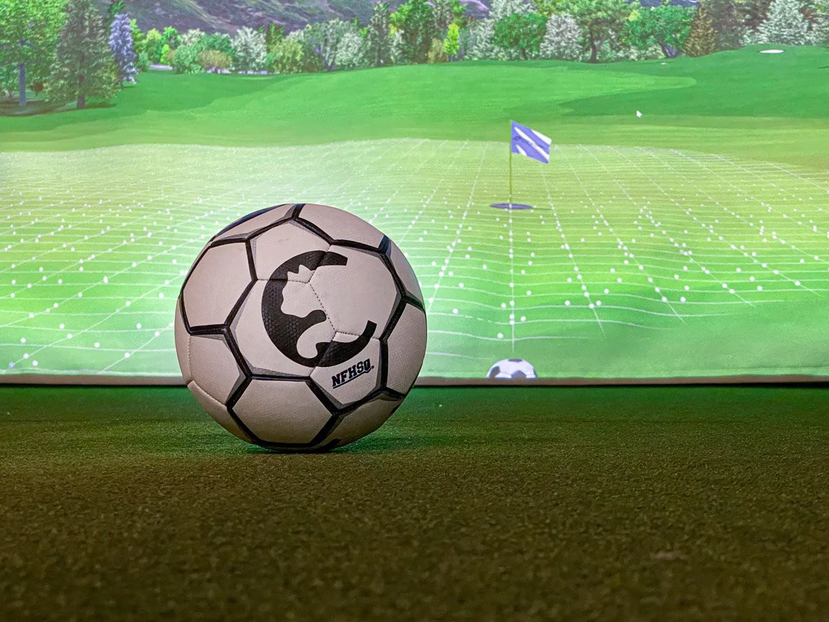The Golf Garage - Photo 1