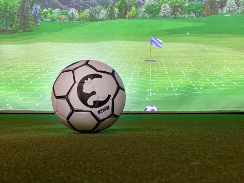 The Golf Garage - Photo 6