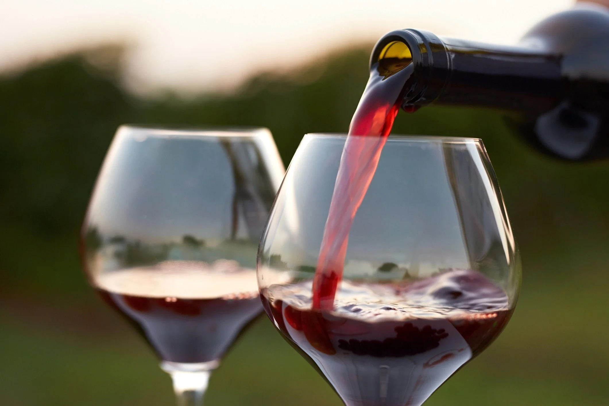 Wine Tasting