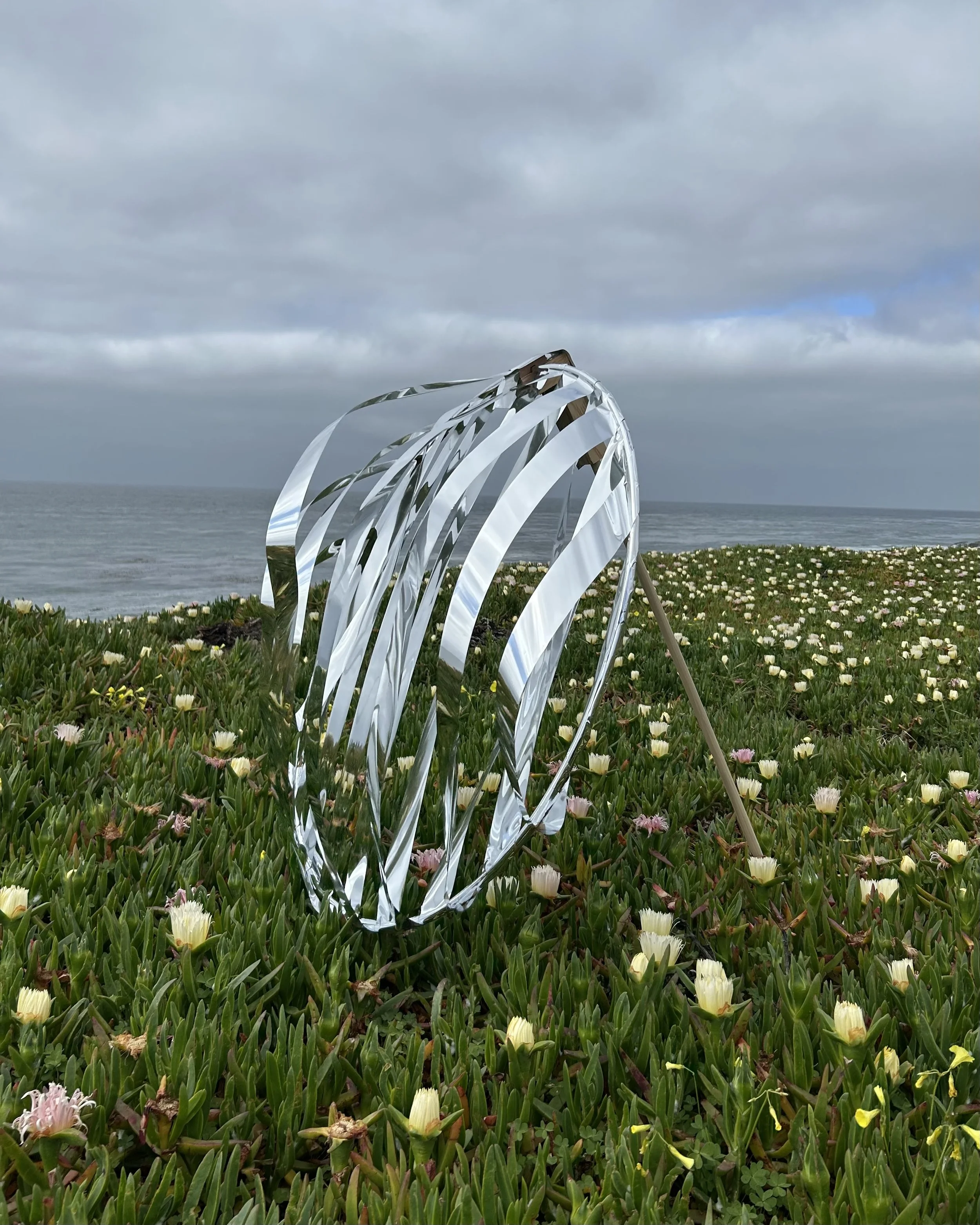 was it wind who danced first? [installation, graphic design]