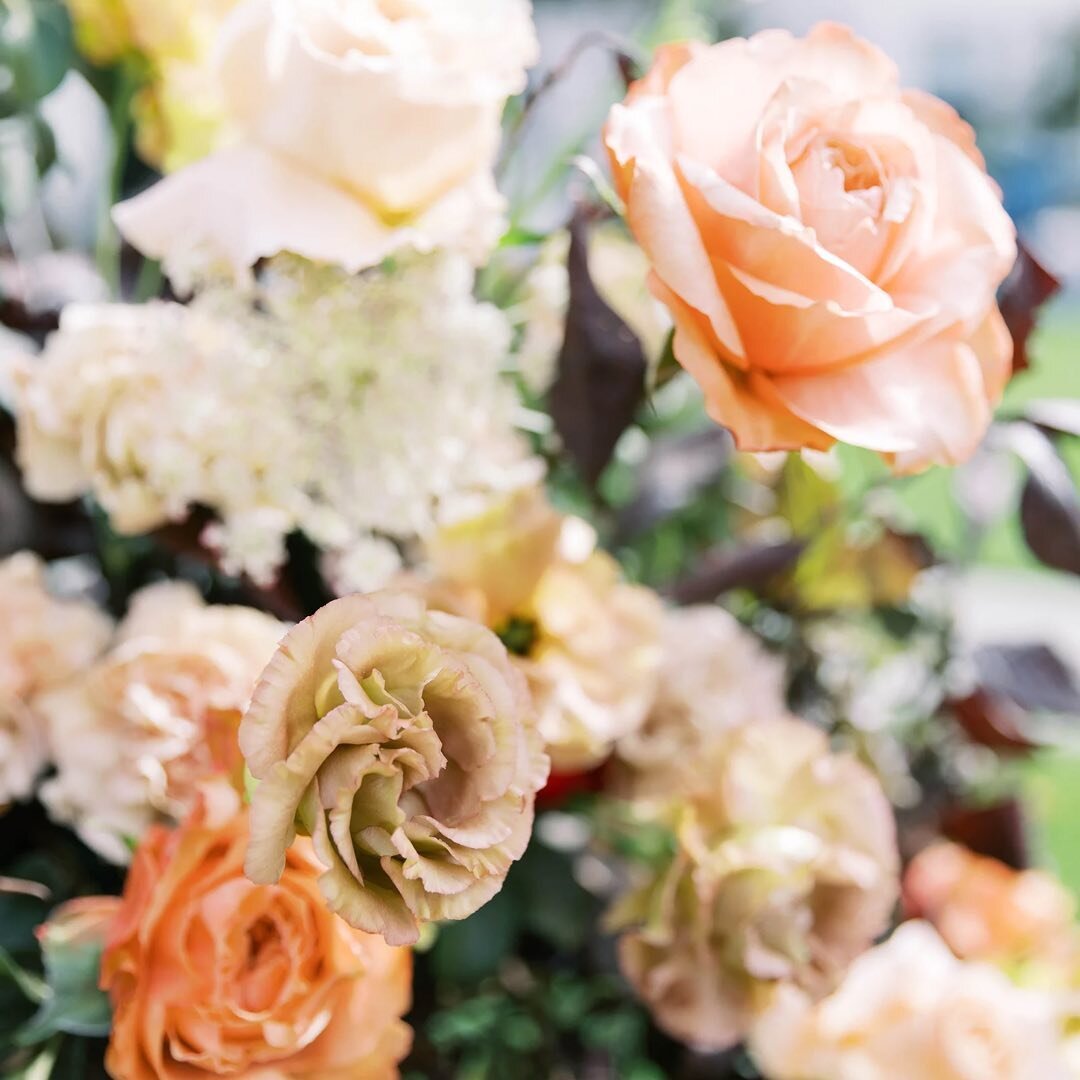 Florals are my favorite wedding day detail to photograph and experience. I honestly squeal with excitement every time I see the bridal bouquet. Then again, when I see the grandiose ambiance that the floral arrangements provide in the ceremony and rec
