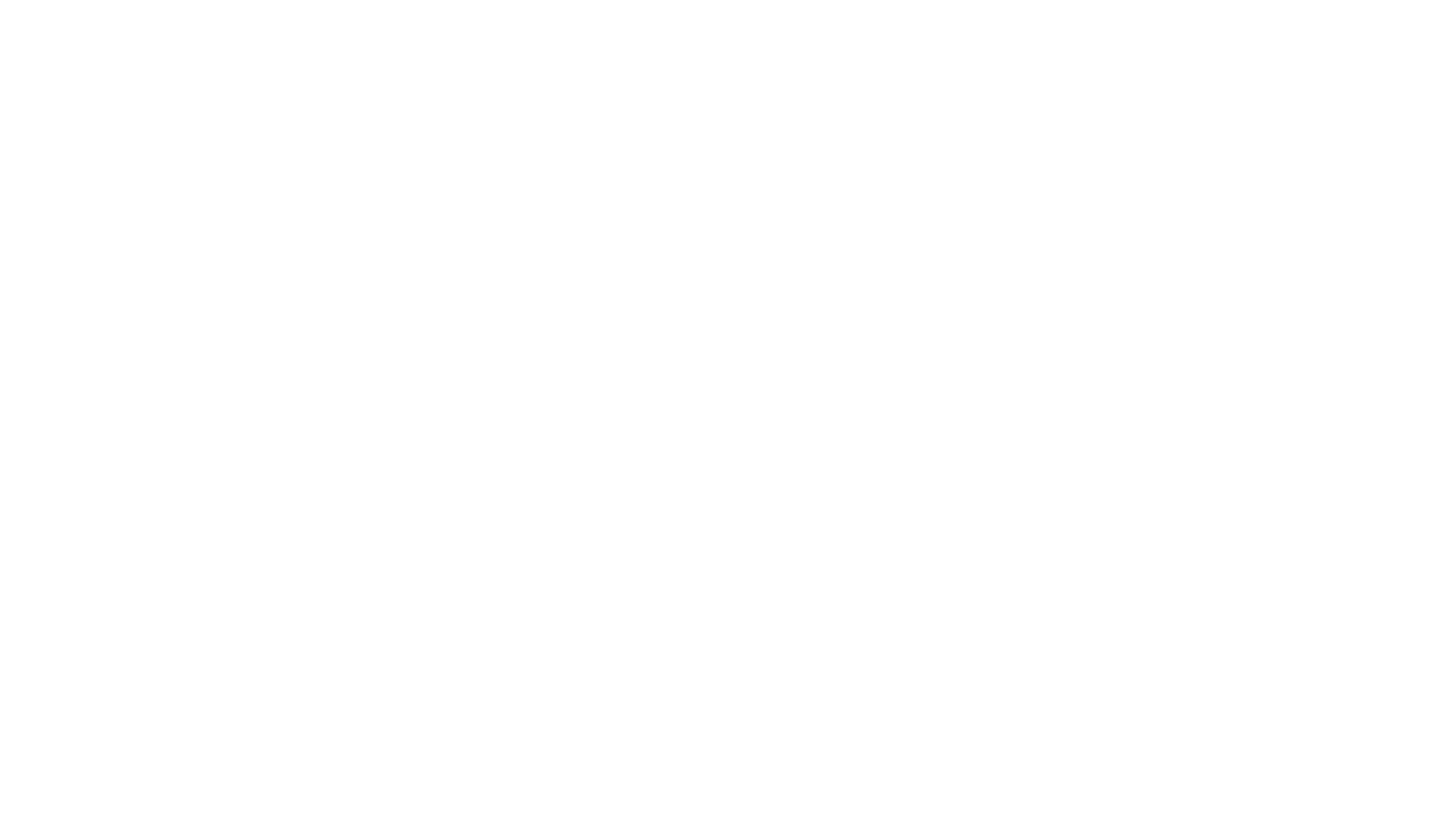 NCCU vert white logo.png