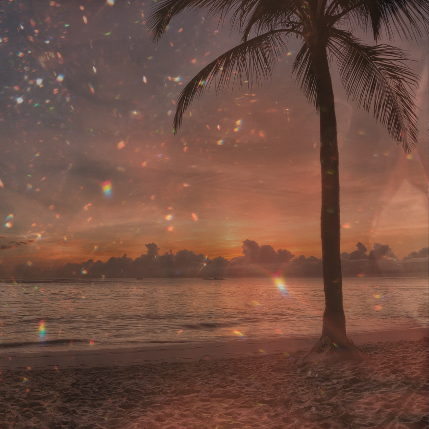 Marketing like the boss you are - pre-built solutions for major marketing impact.