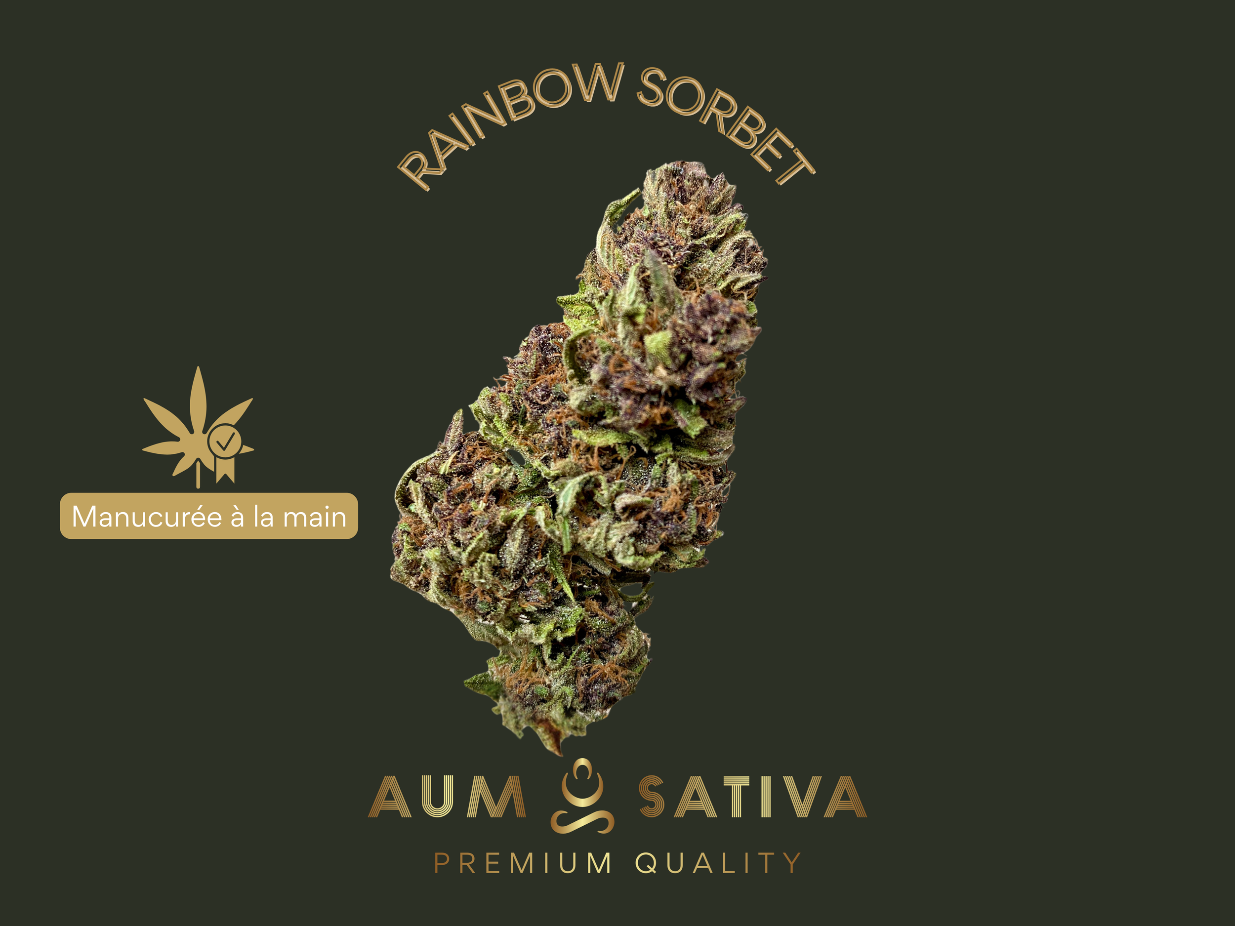 Rainbow cbd bio.png